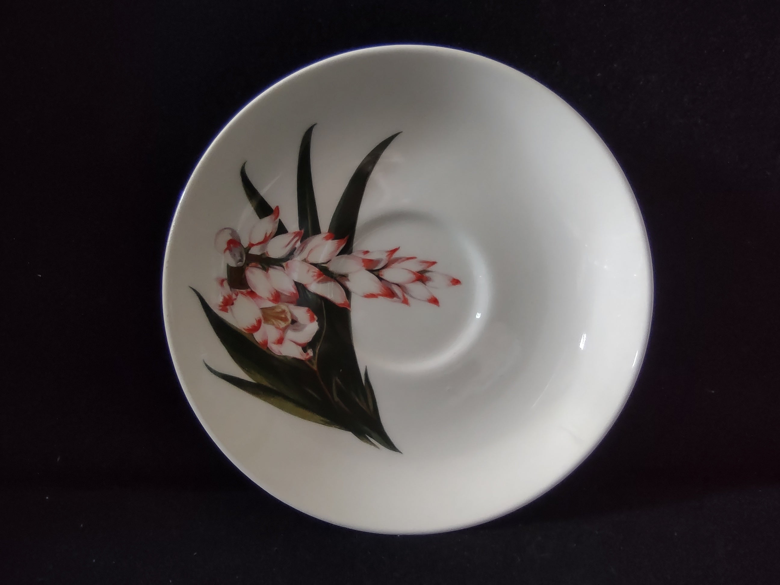 Santa Anita Ware Shell Ginger saucer front view showing full pattern