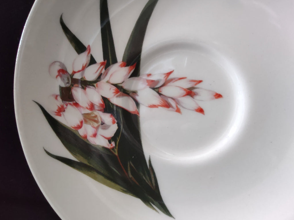 Santa Anita Ware Shell Ginger saucer close-up of red-tipped white blooms and dark green leaves