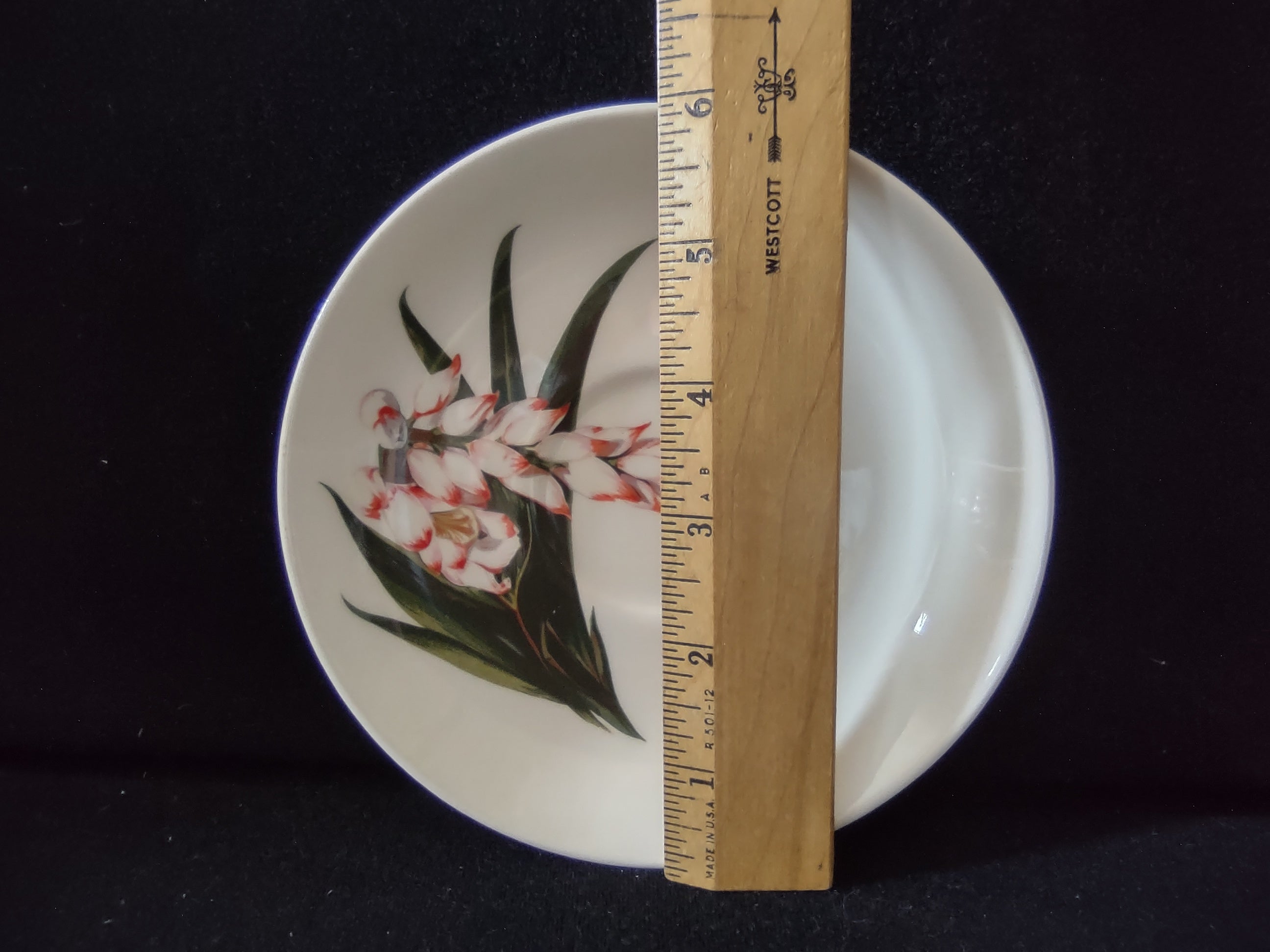 Santa Anita Ware Shell Ginger saucer with ruler showing approx 5-3/4 inch diameter