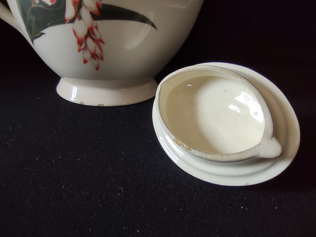 Santa Anita Ware Shell Ginger teapot with ruler showing approx 7 inch height