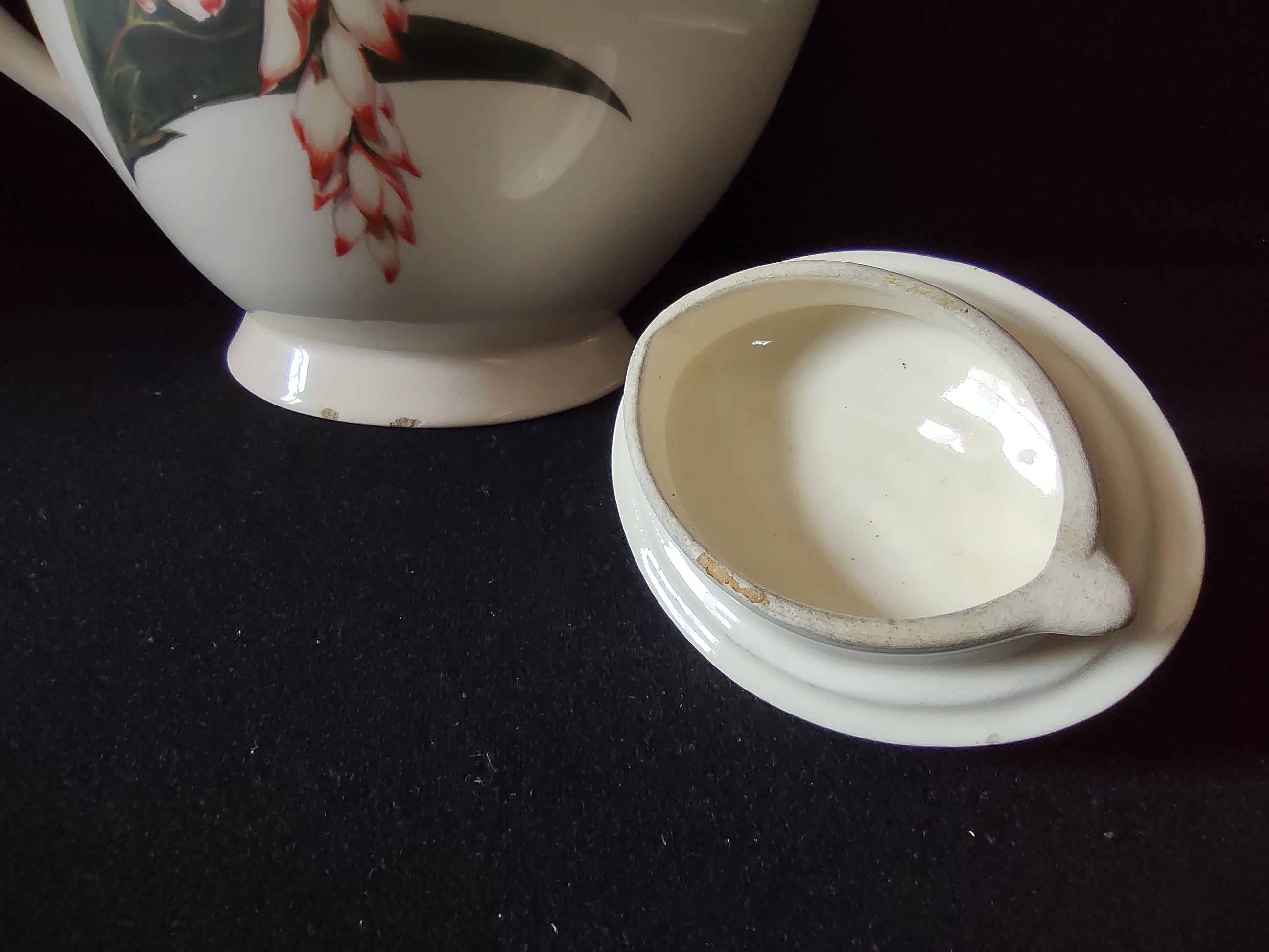 Santa Anita Ware Shell Ginger teapot with ruler showing approx 7 inch height