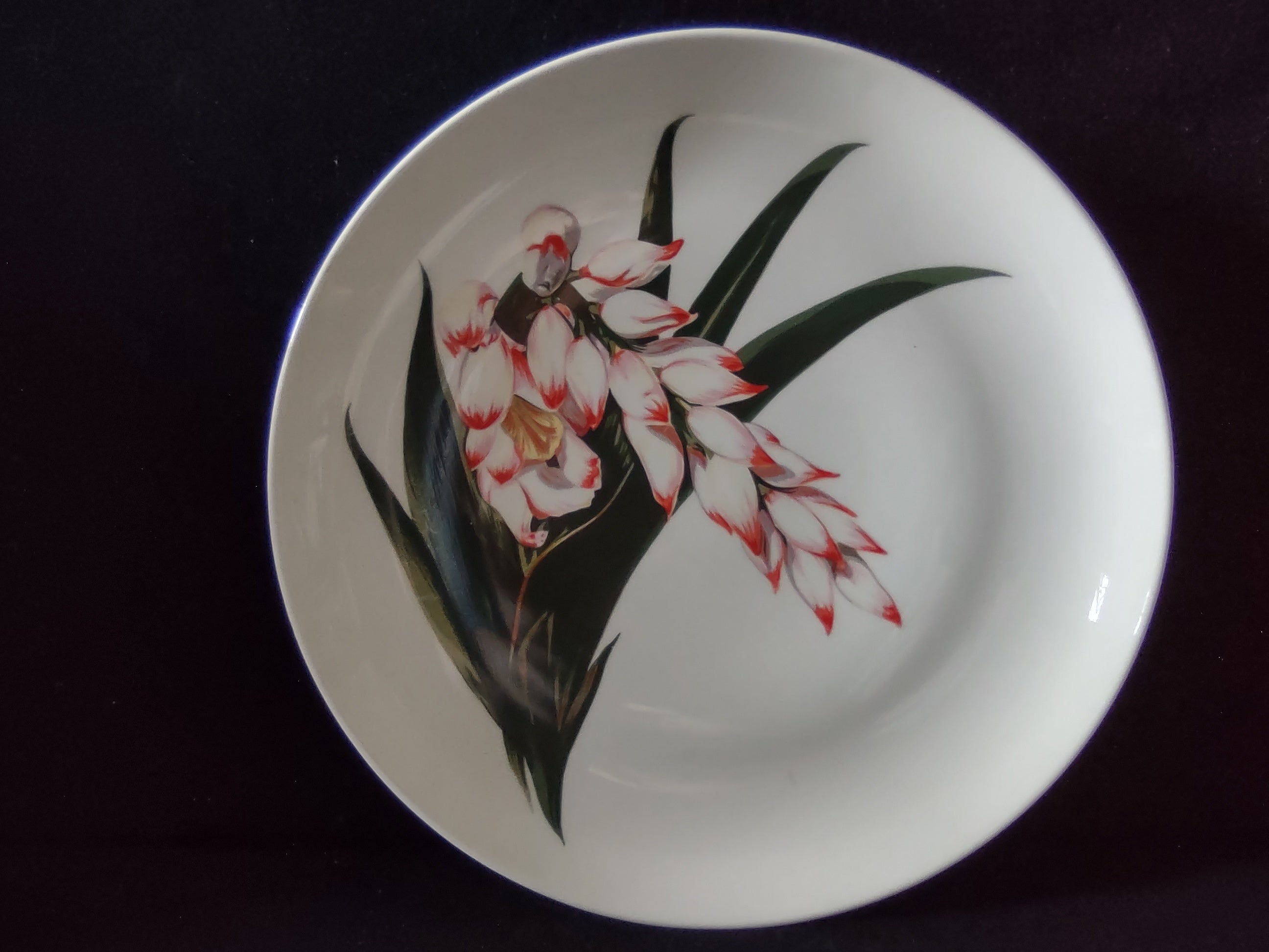 Santa Anita Ware Shell Ginger plate front view showing full pattern