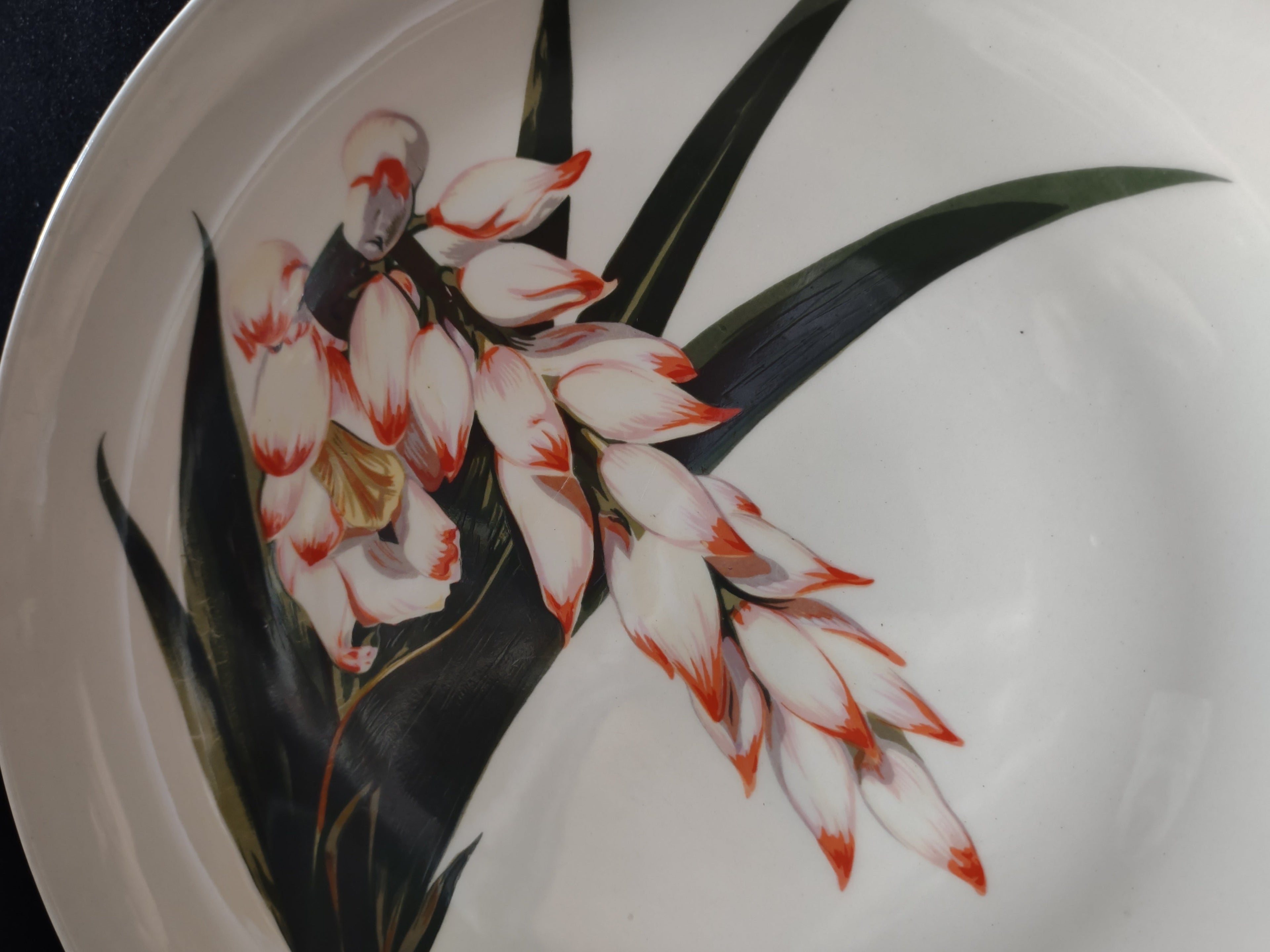 Santa Anita Ware Shell Ginger plate close-up of red-tipped white blooms