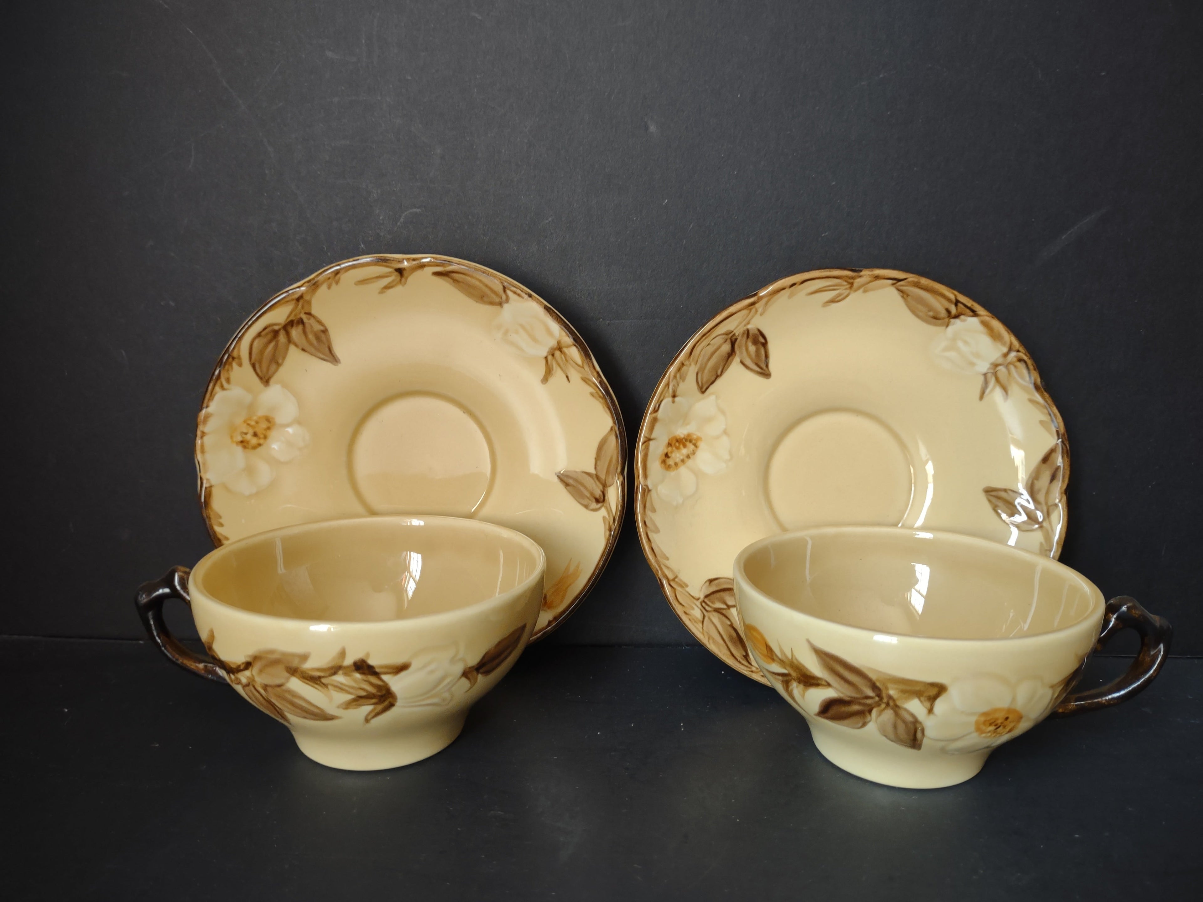 Franciscan Wild Rose cup and saucer top view showing interior discoloration