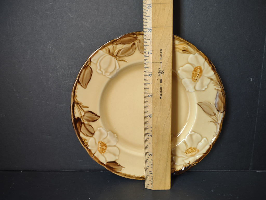 Vintage Franciscan Dinnerware plate with ruler showing approximately 6 inch diameter
