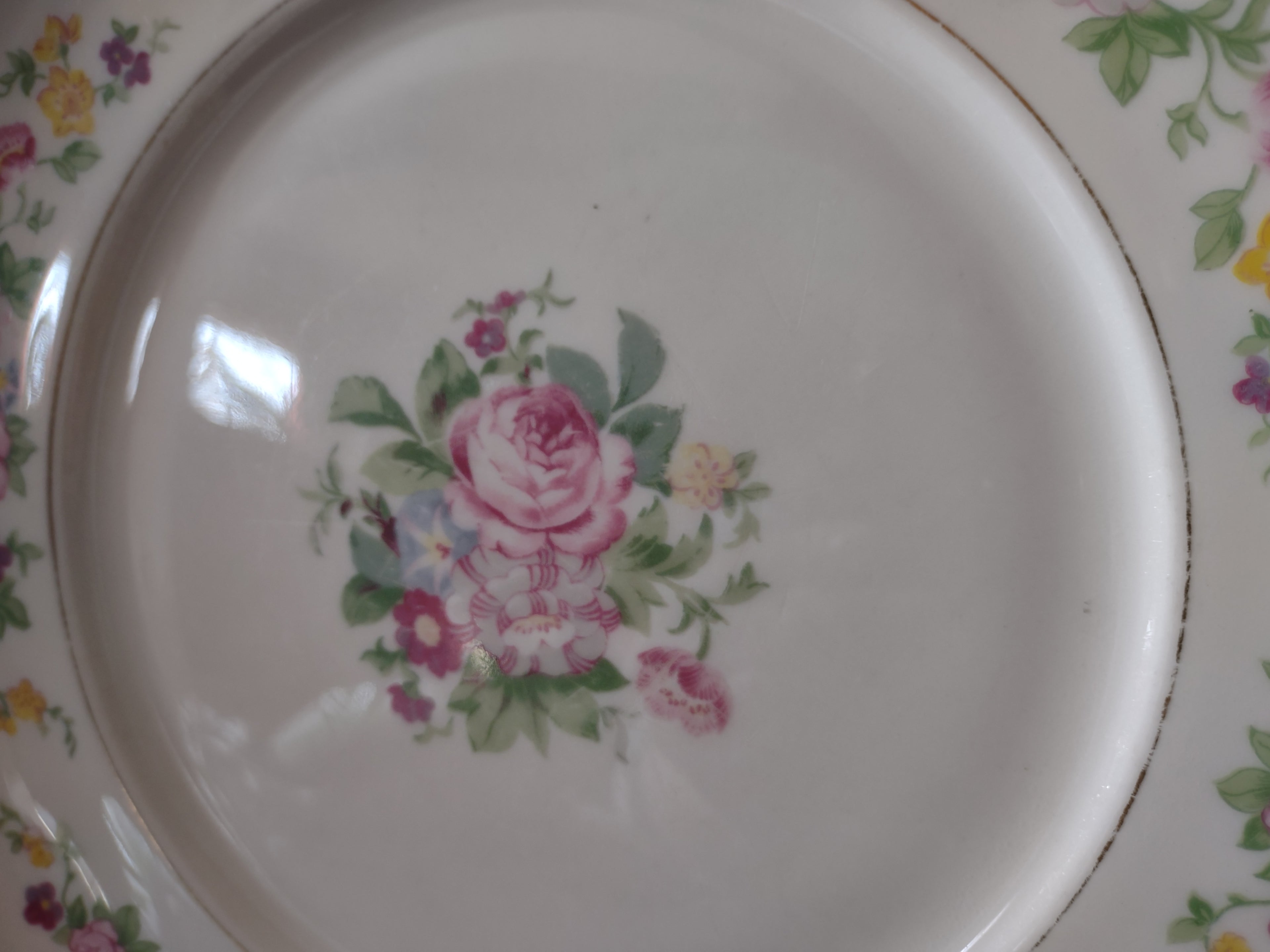 Vintage Lamberton China Dolly Madison Floral Pink Rose Dinner Plate [6916]