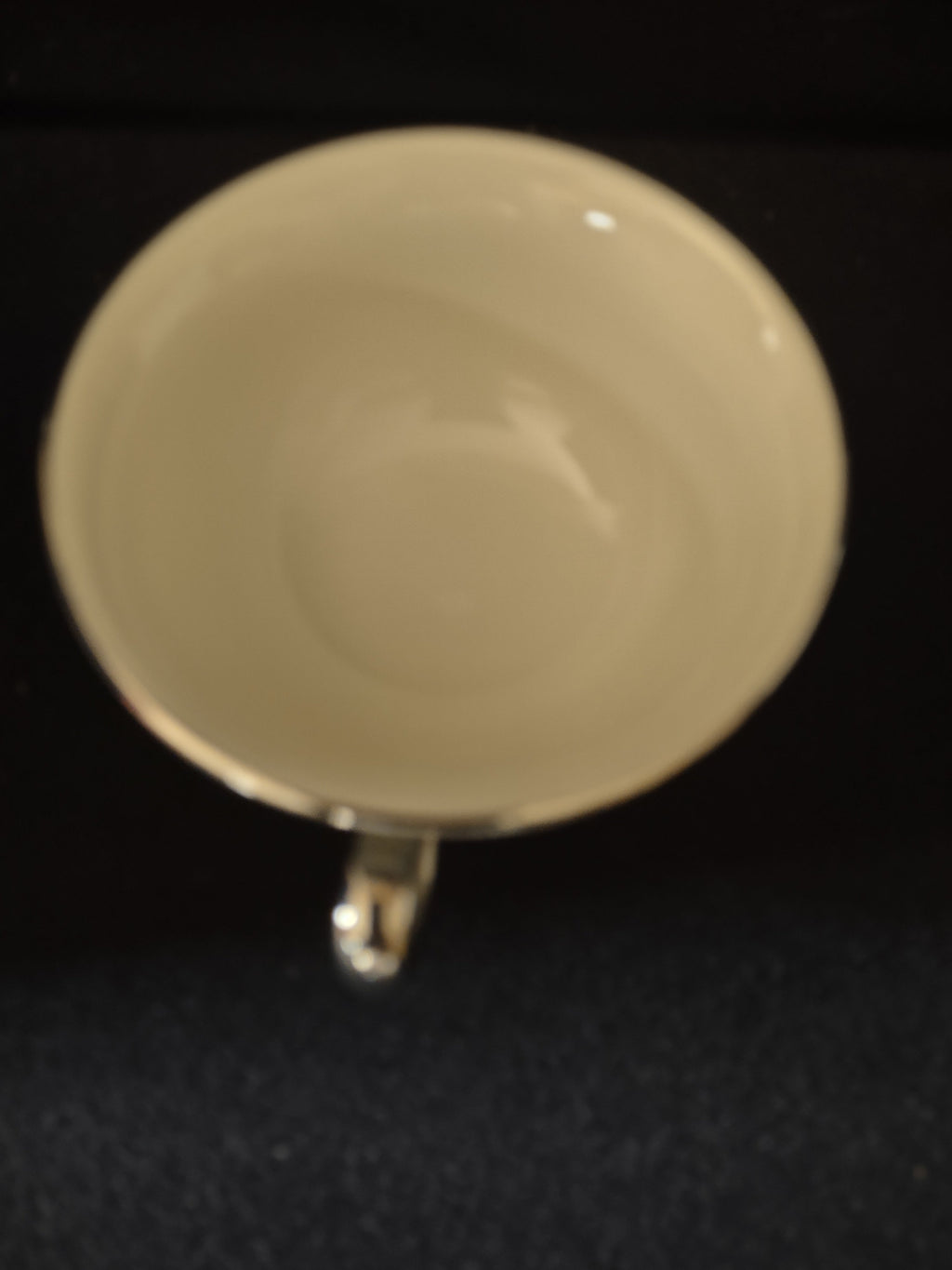 Castleton China Sunnyvale footed teacup showing chip on rim