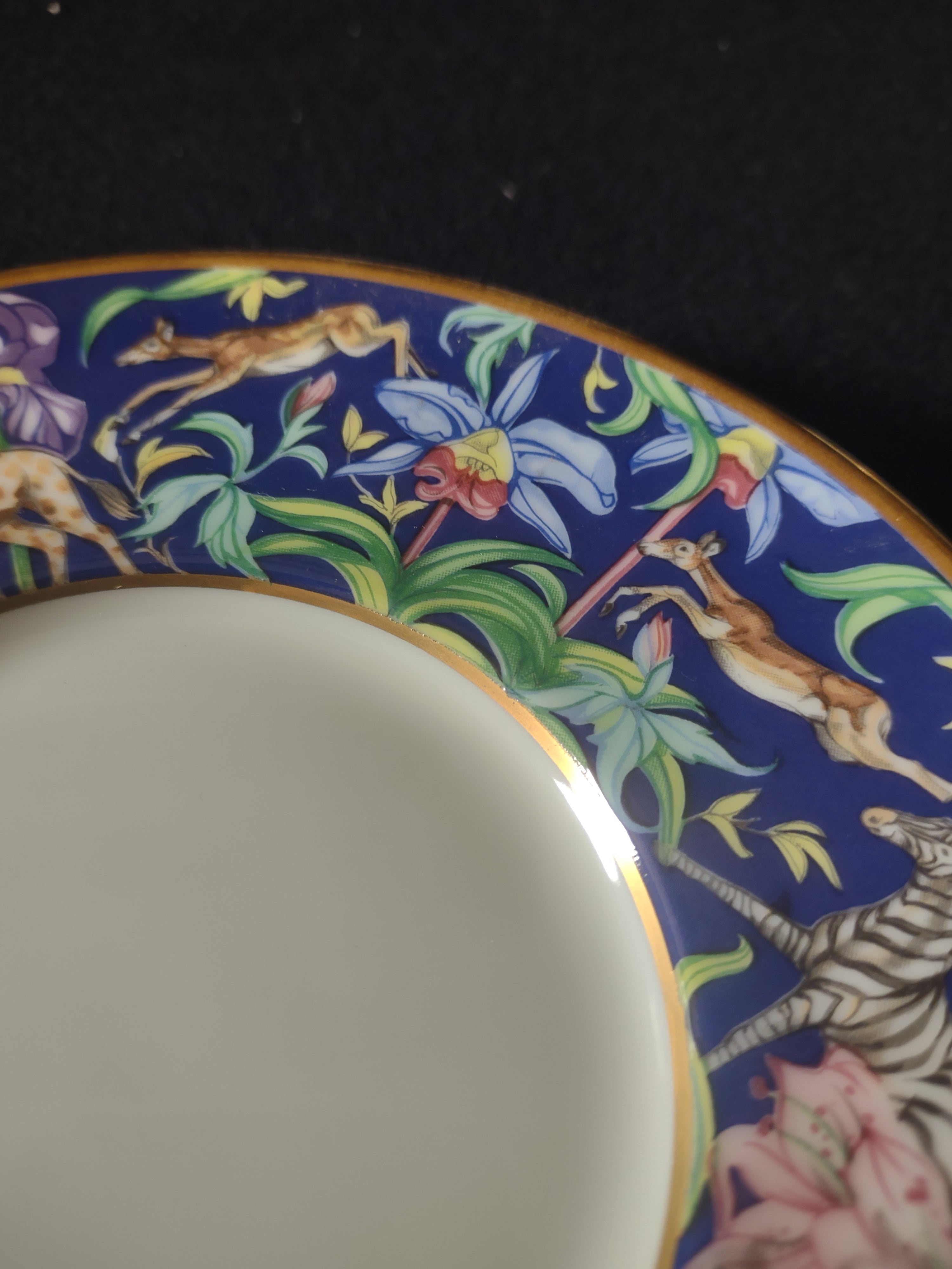 Franciscan Safari saucer additional view