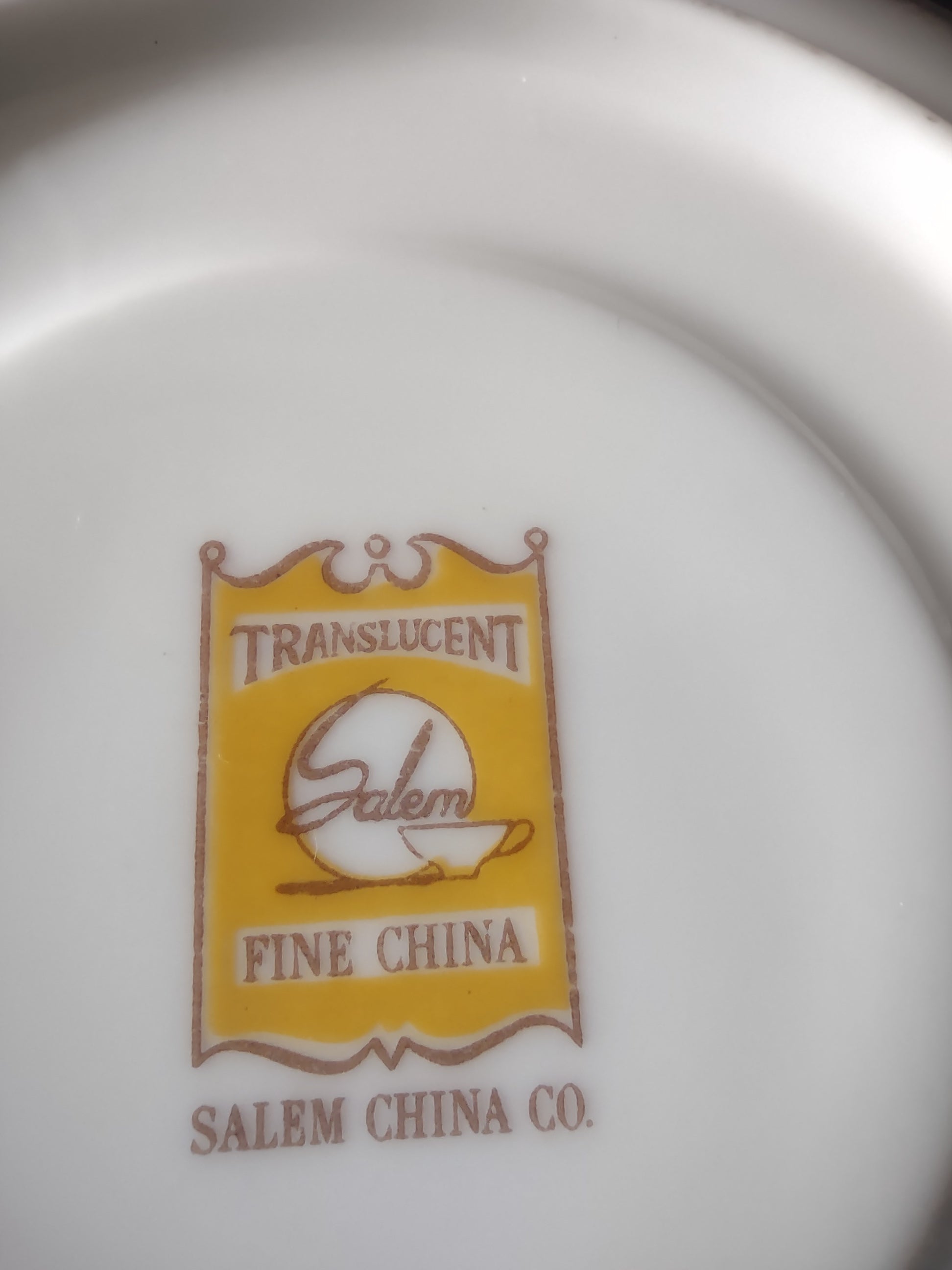 Salem China Aristocrat cup and saucer set front view