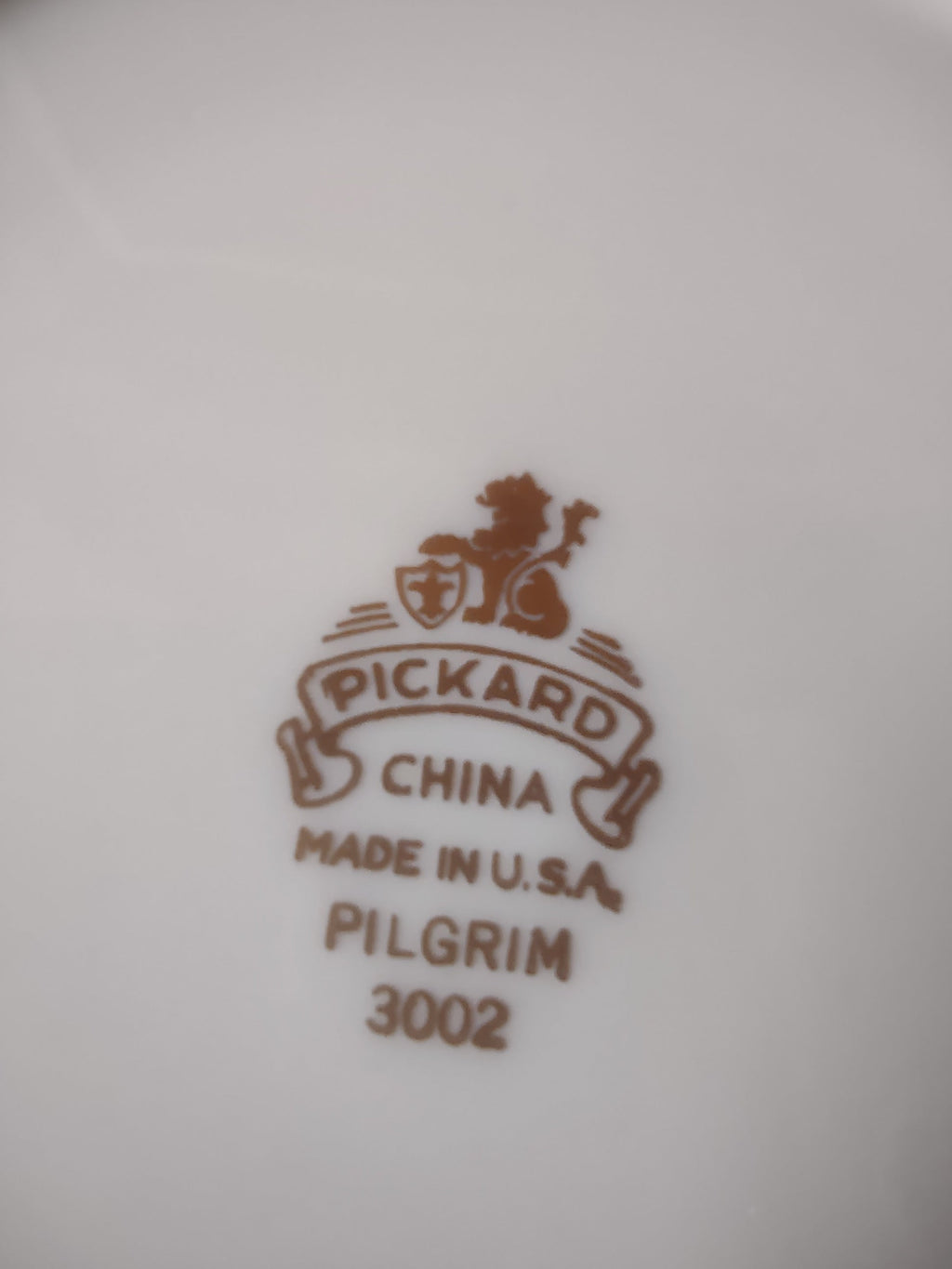 Pickard China Pilgrim gold band and ring detail close-up