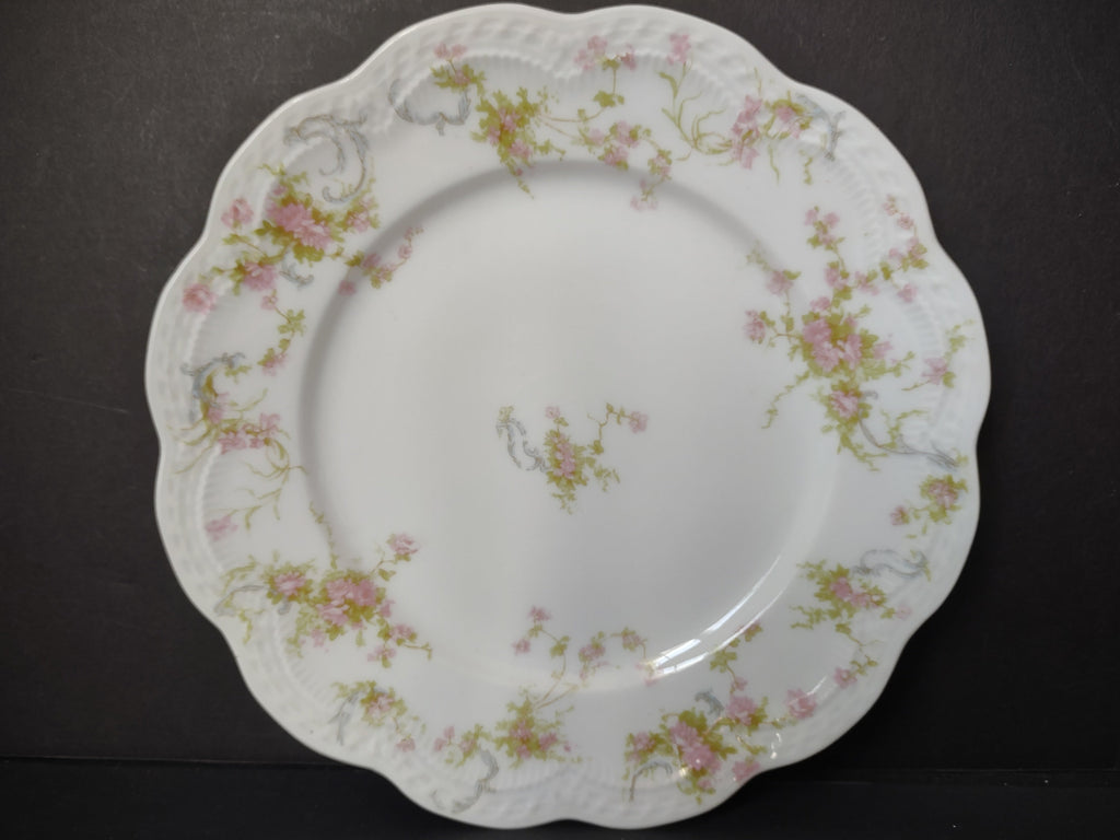 Haviland Limoges The Princess plate rim detail