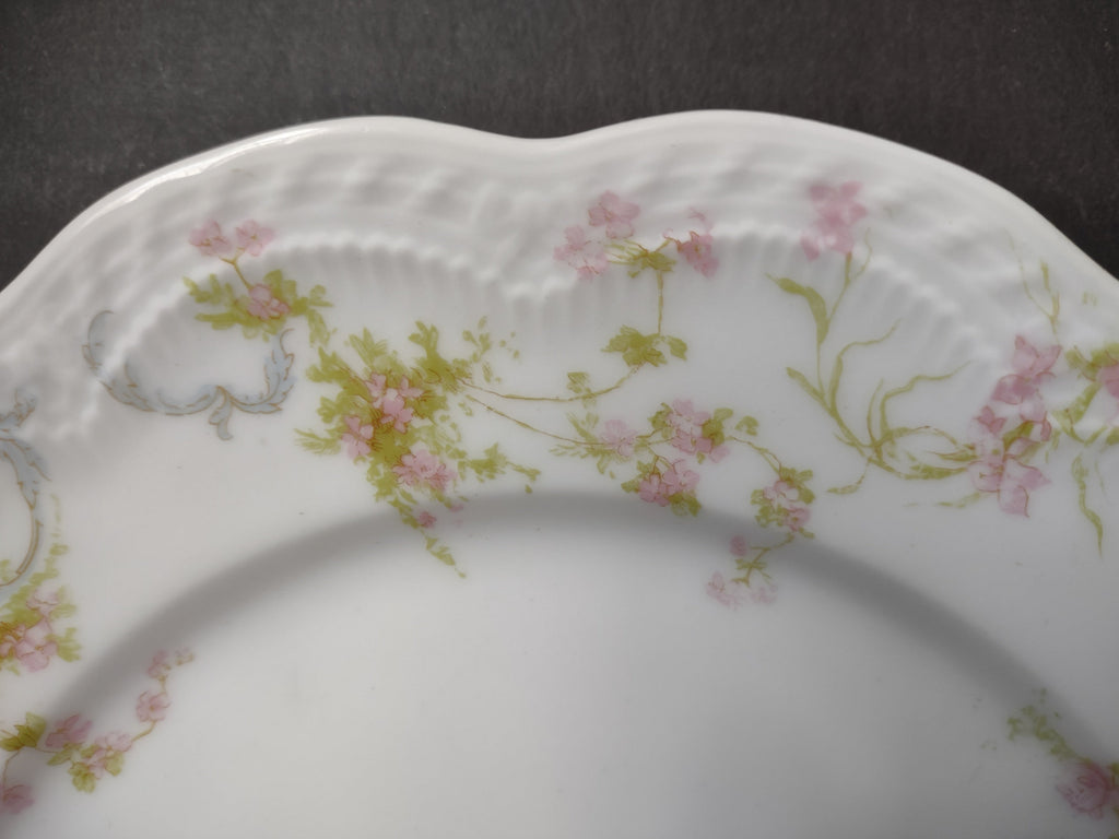 Haviland Limoges The Princess plate pattern close-up