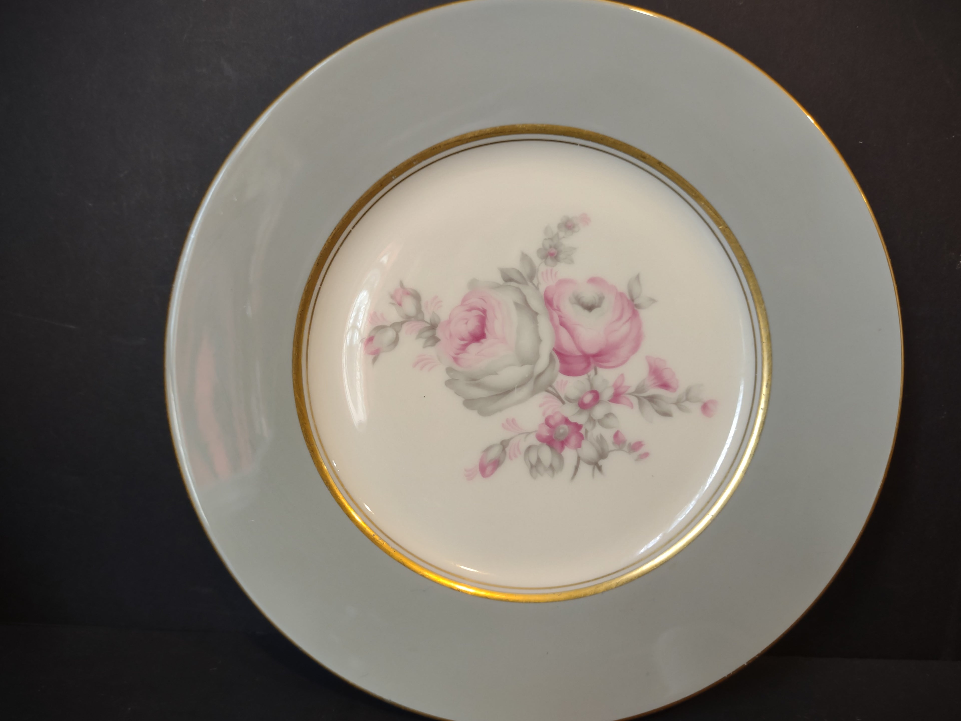 Vintage Castleton China Rosemere Pink Rose Gray Border Plate [6971]