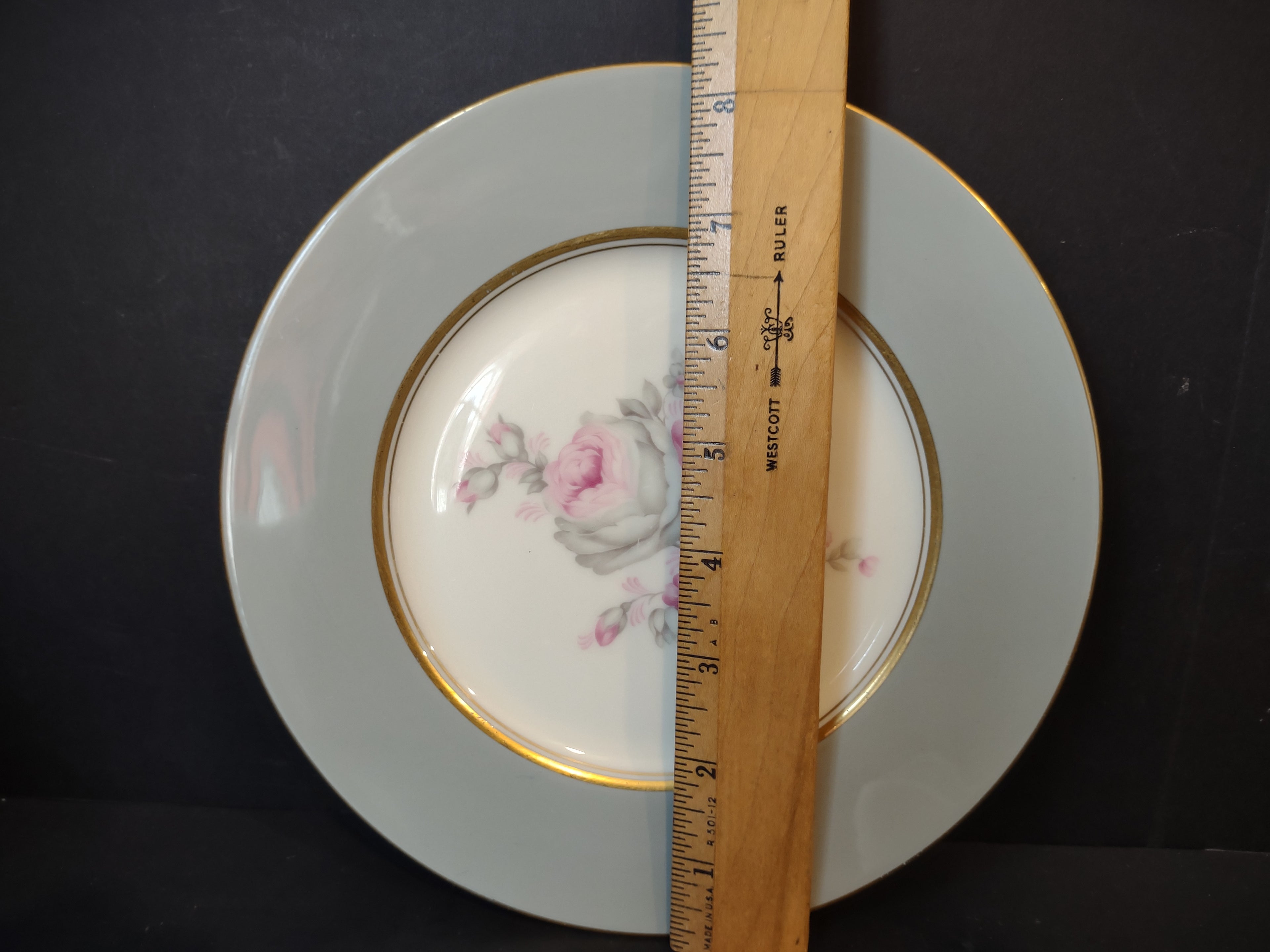 Vintage Castleton China Rosemere Pink Rose Gray Border Plate [6971]