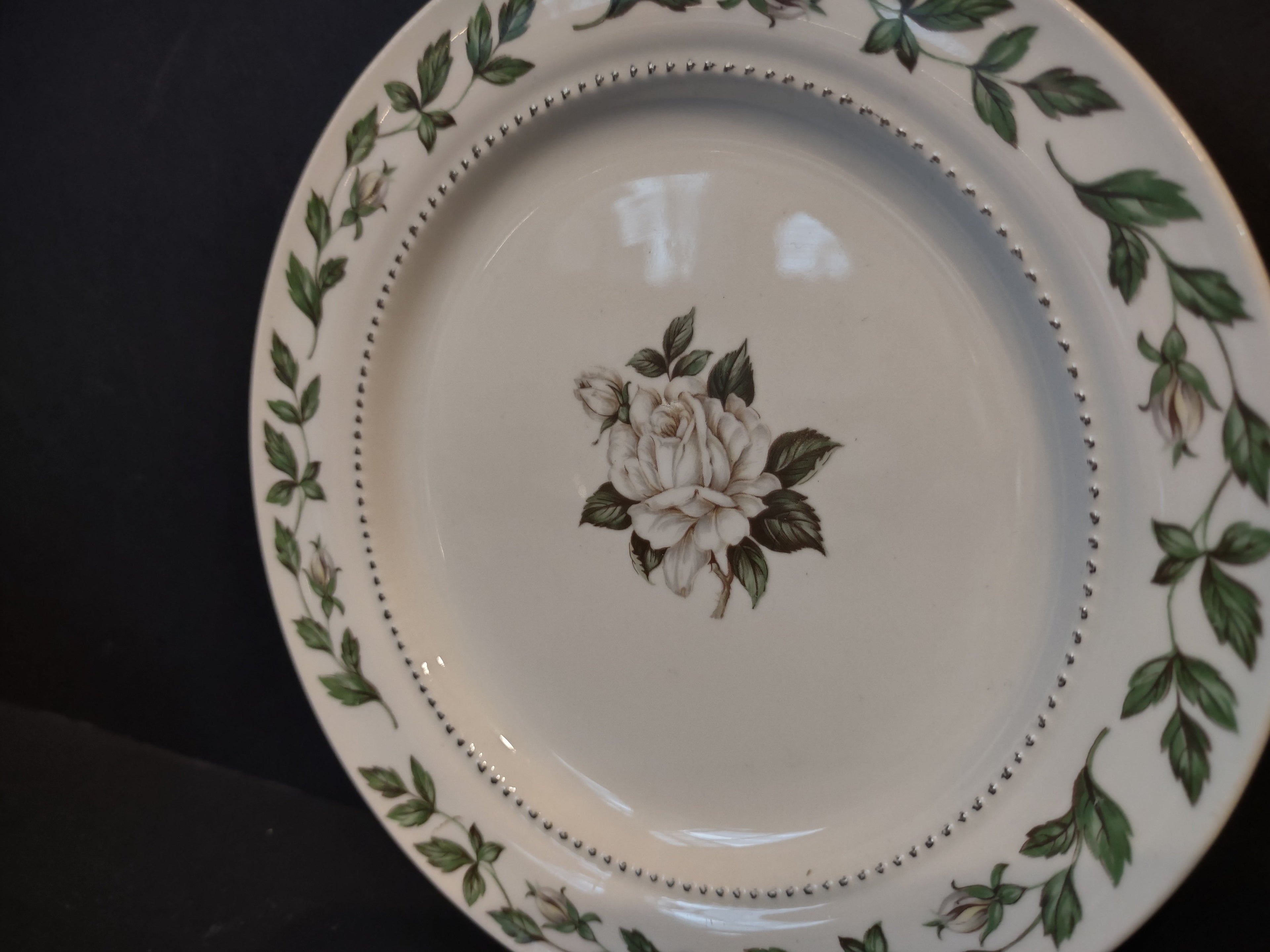 Vintage Superior Hall Cameo Rose plate - angled view showing full pattern and gold dot beading