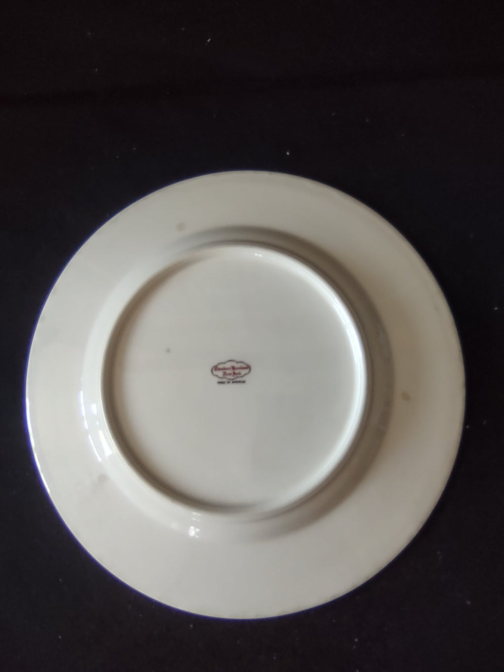 Close-up of tiny geometric medallion center motif on white porcelain