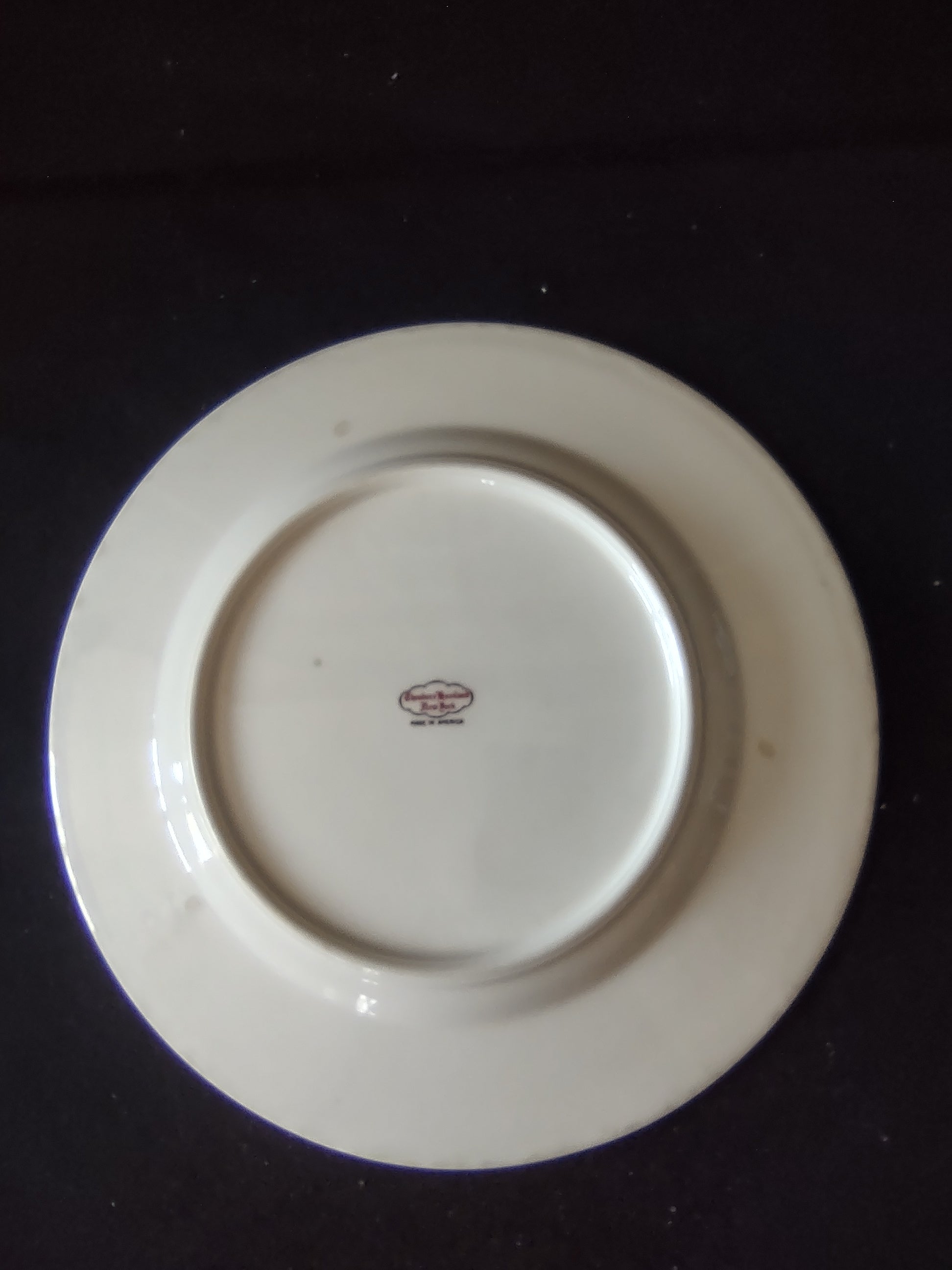 Close-up of tiny geometric medallion center motif on white porcelain