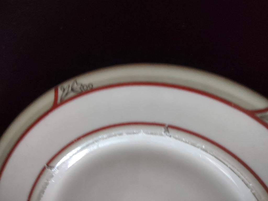 Full back view of Theodore Haviland New York plate showing discoloration on underside consistent with age