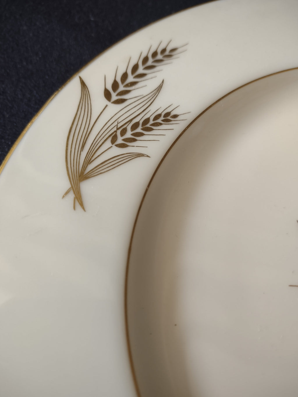 Ruler showing approximately 8 inch diameter of Lenox Harvest plate