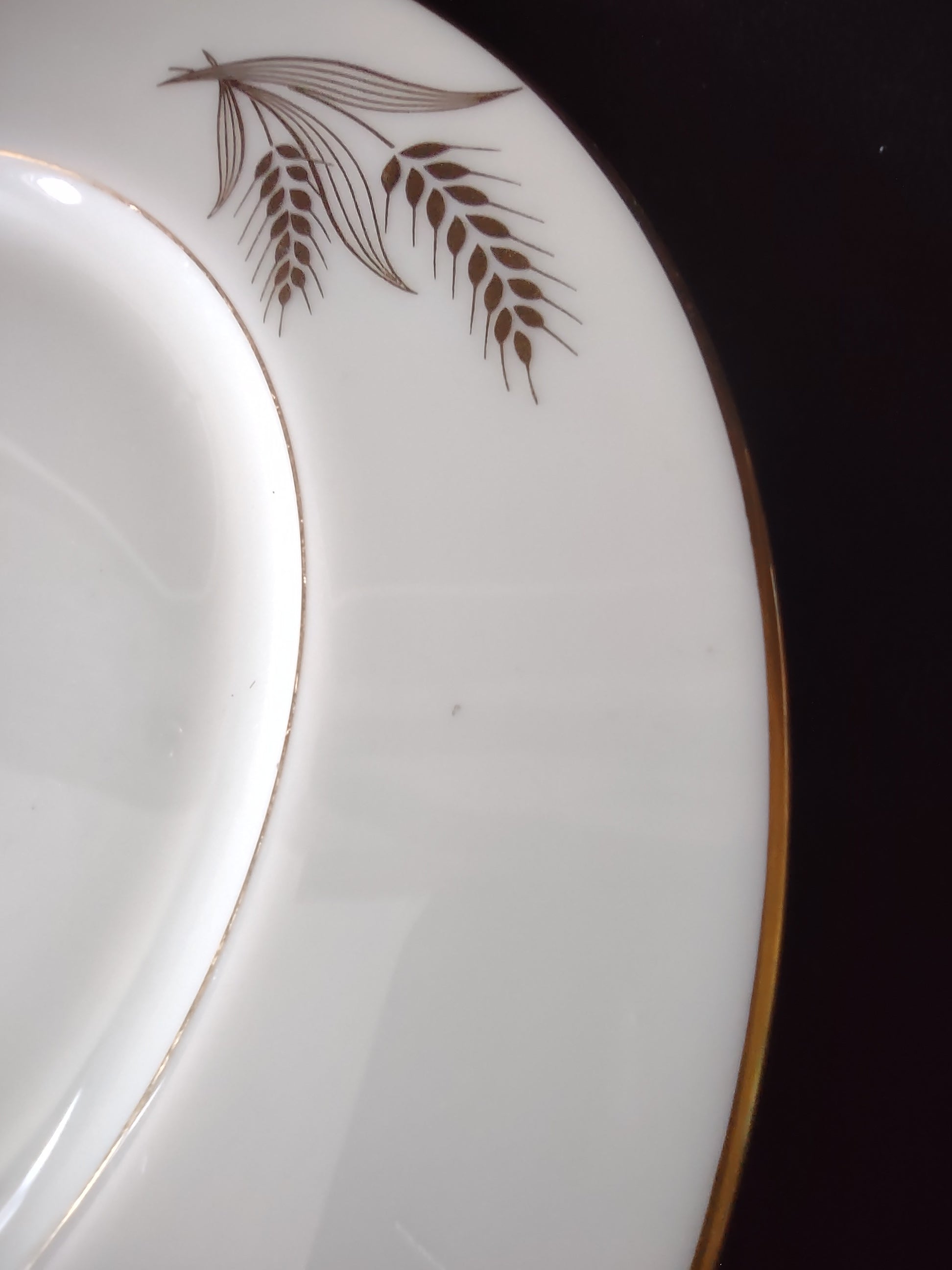 Close-up of rim detail showing gold wheat and gold edge on Lenox Harvest plate