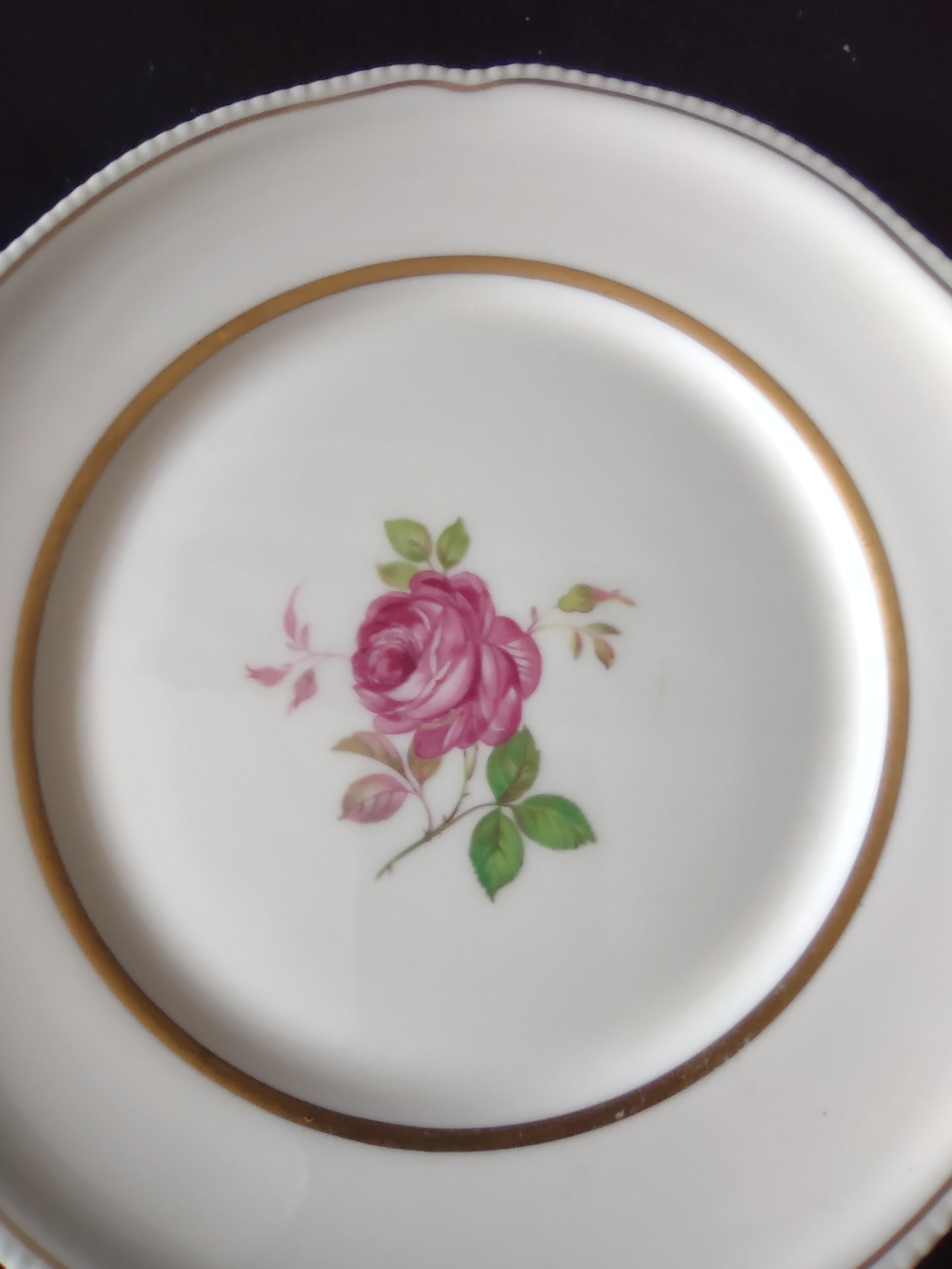 Castleton China Dolly Madison plate full view showing pink rose center and double gold band