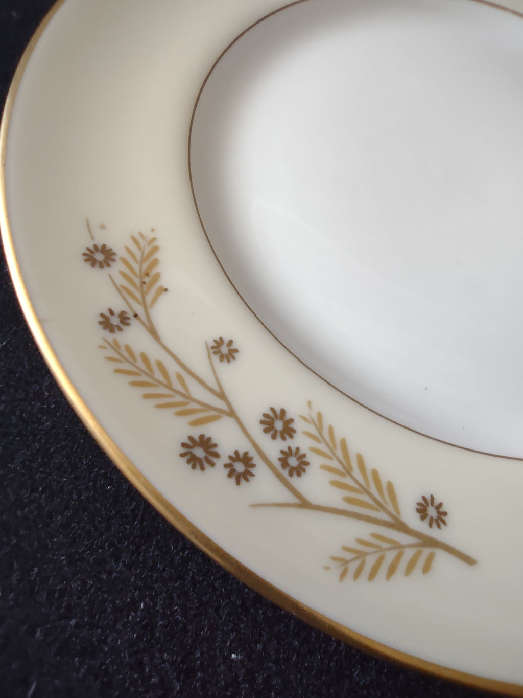 Franciscan Woodside plate close-up gold fern pattern