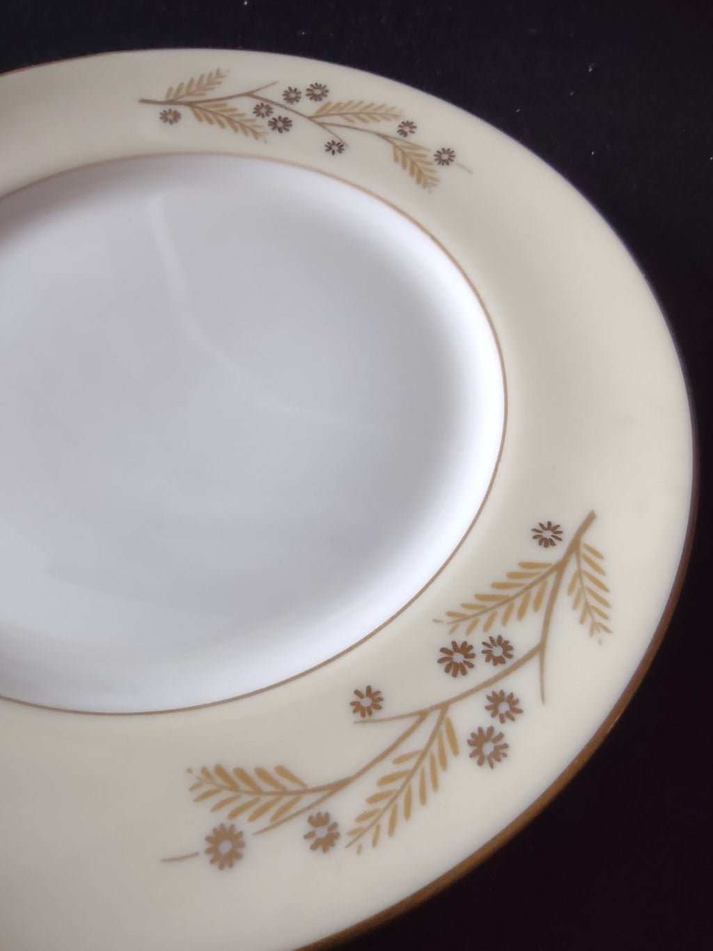 Franciscan Woodside plate side angle