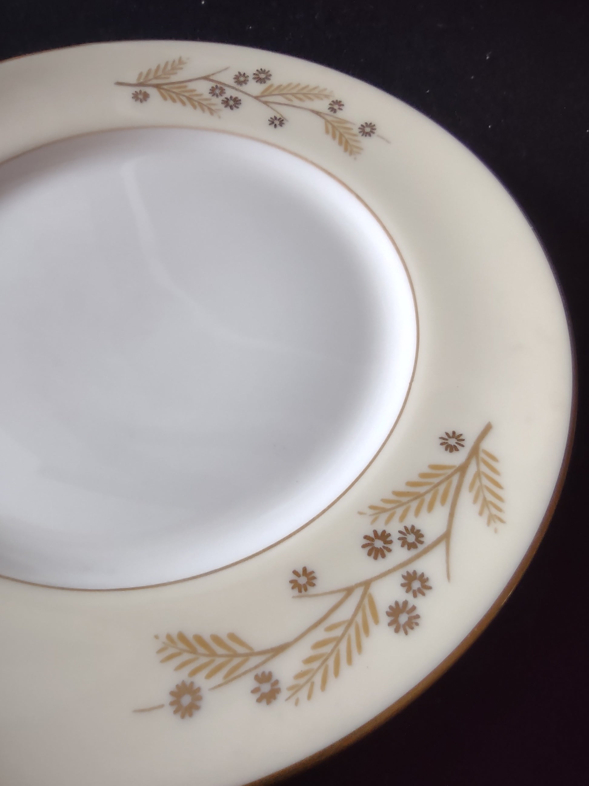 Franciscan Woodside plate side angle