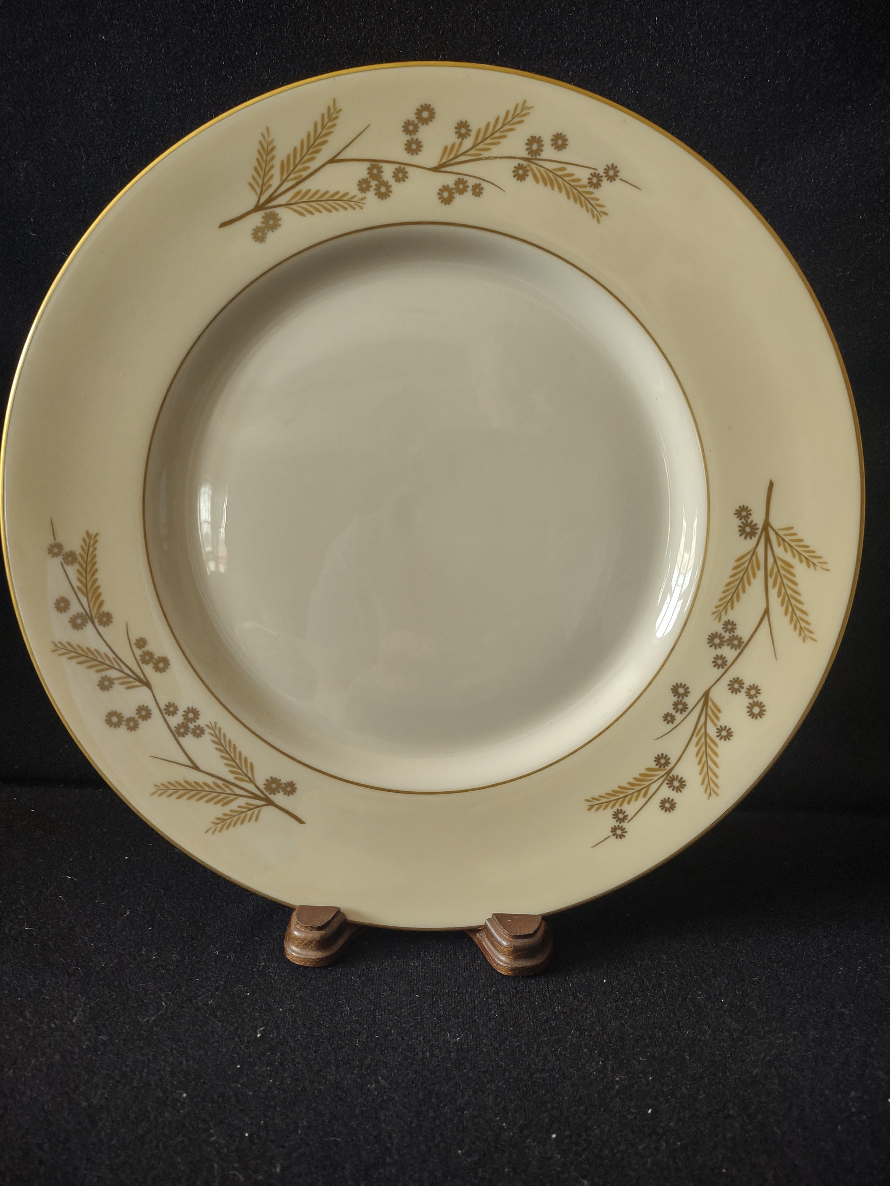 Close-up of Acacia pattern gold fern and daisy sprays on Franciscan Masterpiece China plate