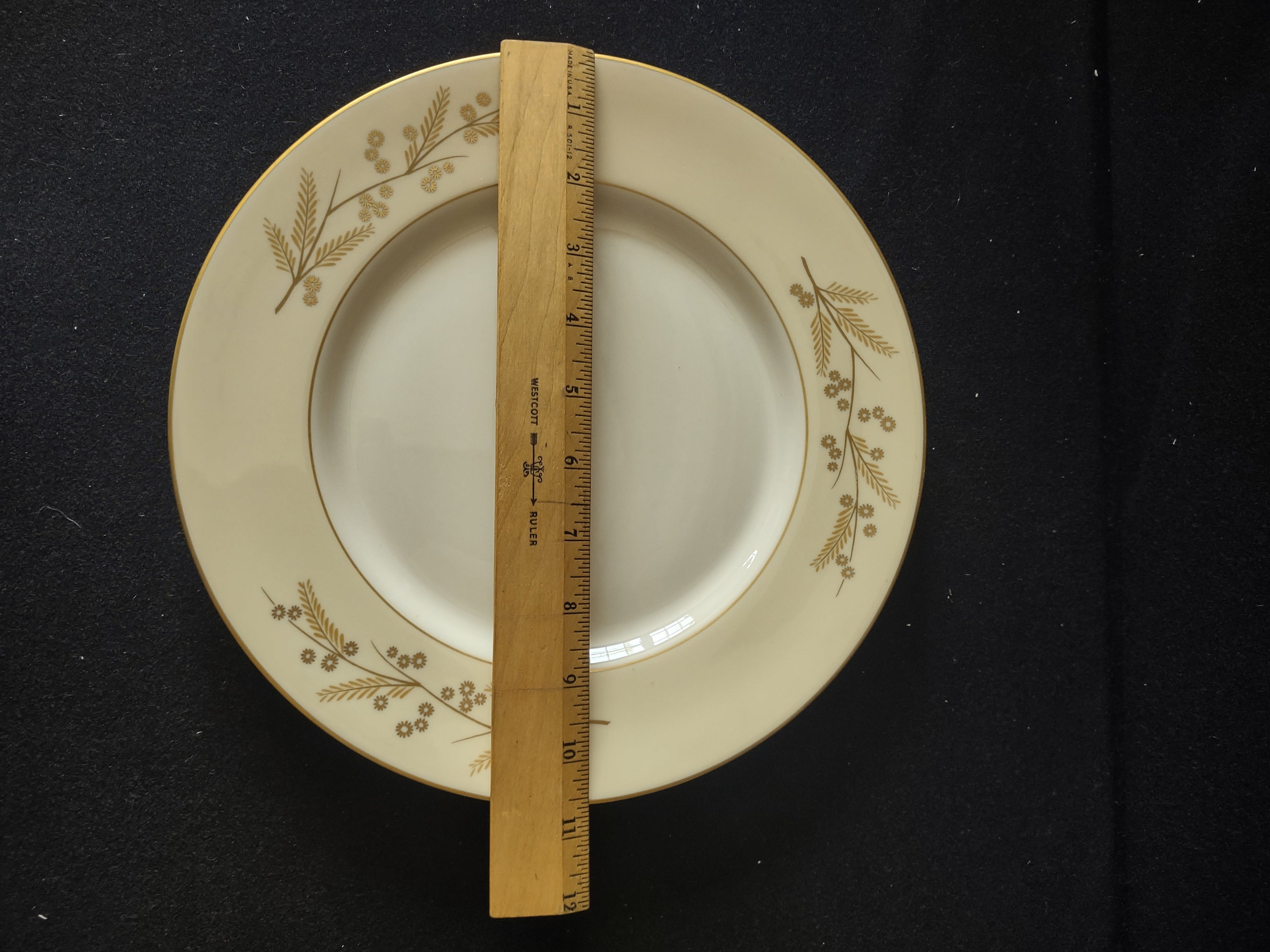 Back of Franciscan Masterpiece China Acacia plate showing clean unglazed foot ring