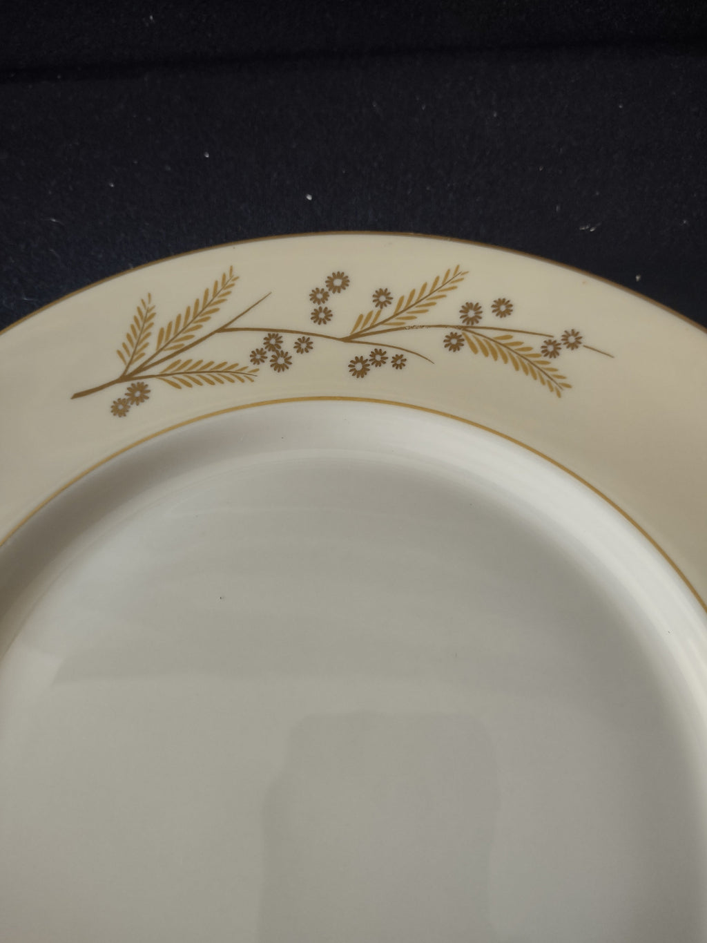 Franciscan Masterpiece China Acacia plate front view showing gold botanical pattern on cream ground