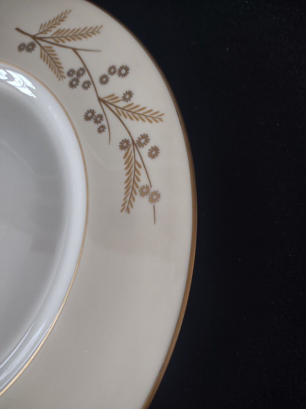 Ruler showing approximately 10 inch diameter of Franciscan Acacia plate