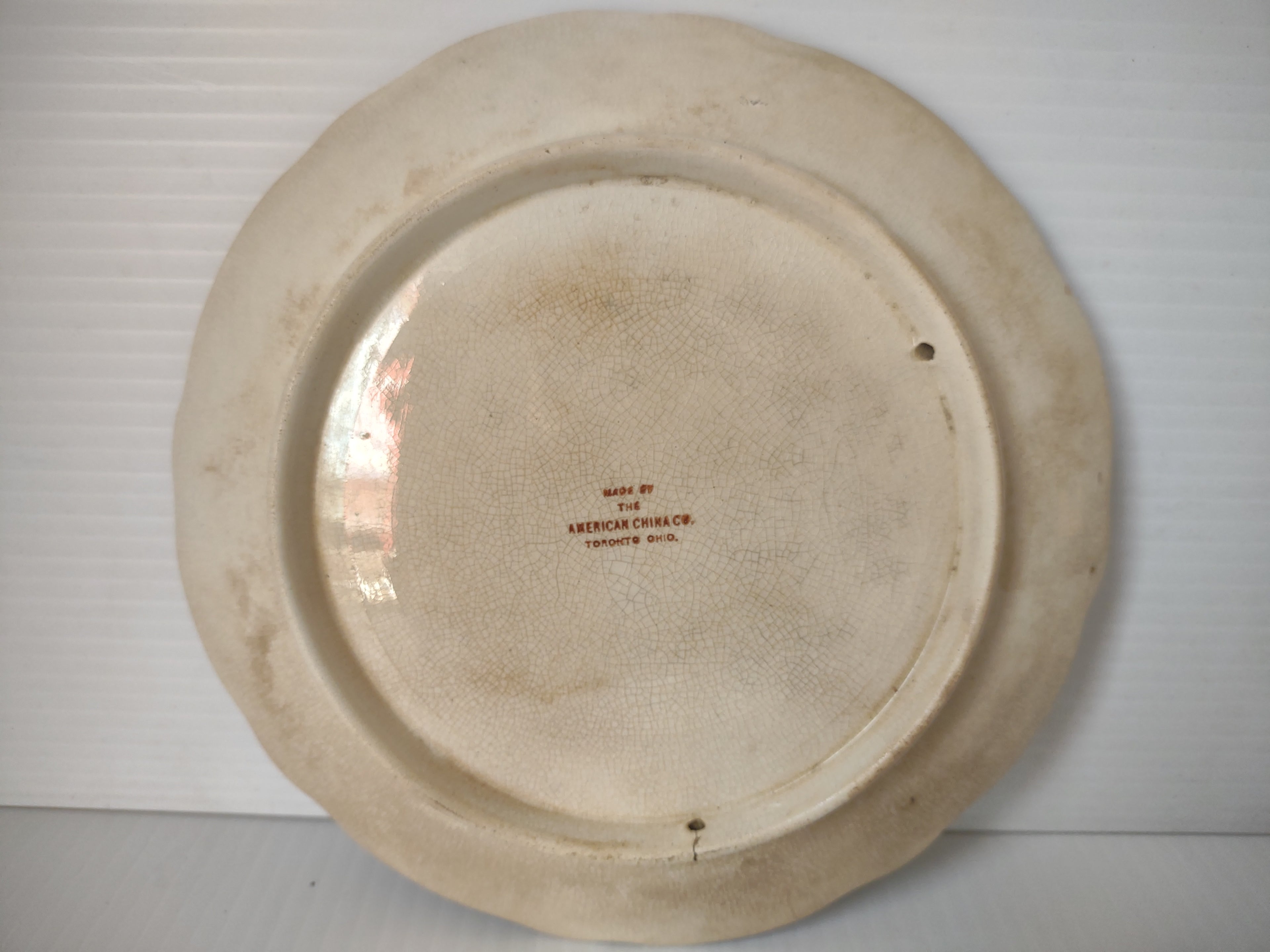 Vintage American China Co BPOE Elks Allegheny PA Souvenir Plate 1890s IMPERFECT [7035]