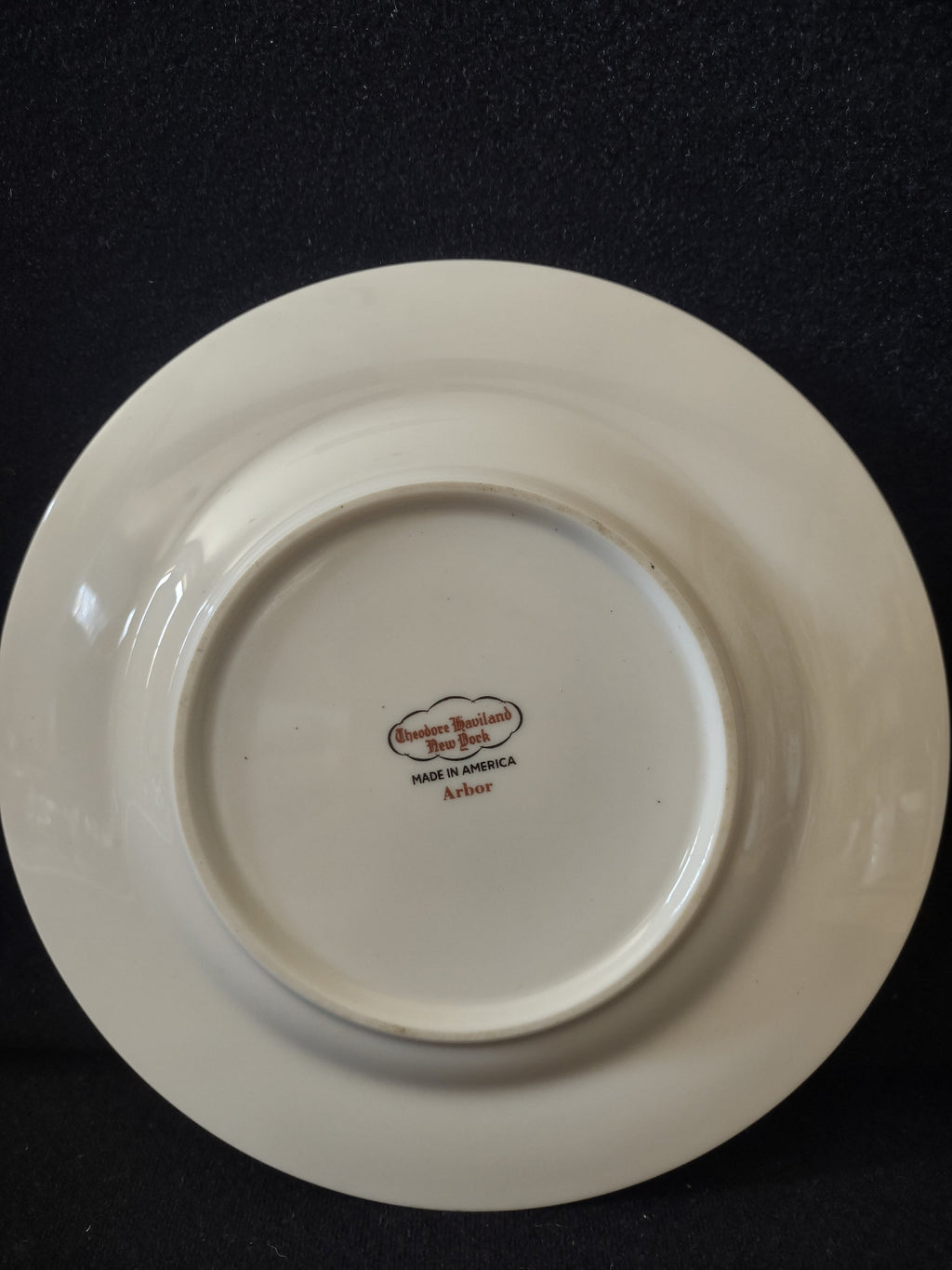 Vintage Theodore Haviland Arbor plate - ruler showing approximately 6 inch diameter