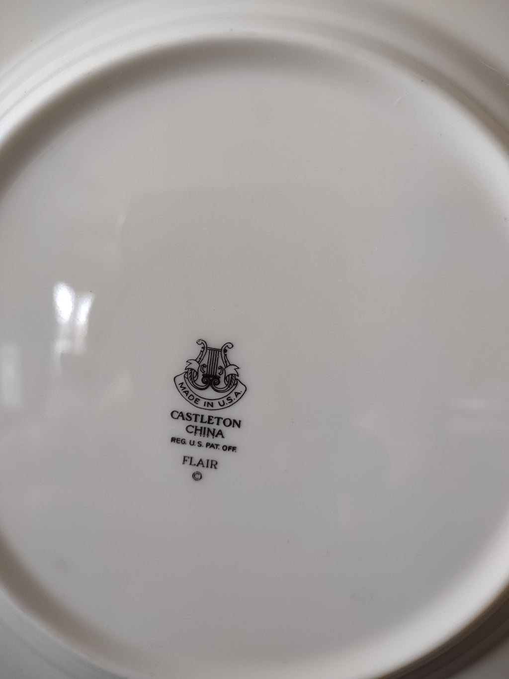 Castleton China Flair plate front view showing platinum leaf motif and silver rim, approximately 8 inches diameter