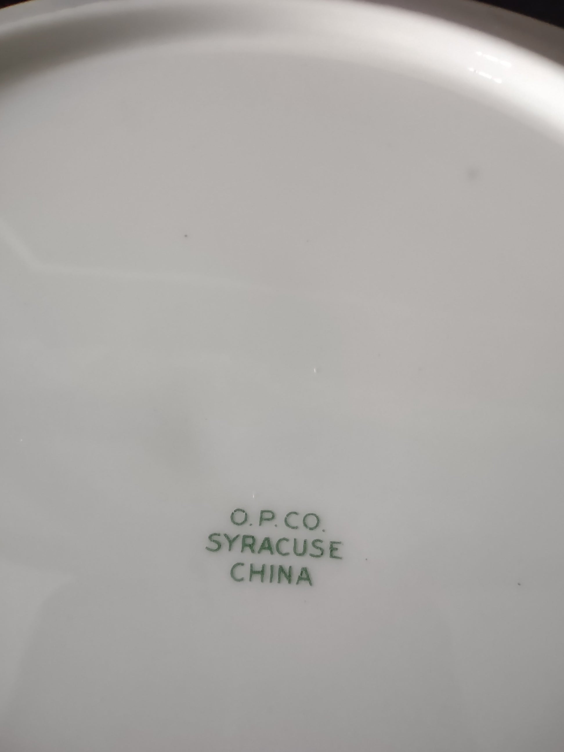 Syracuse China plate with ruler showing approximately 9 inch diameter