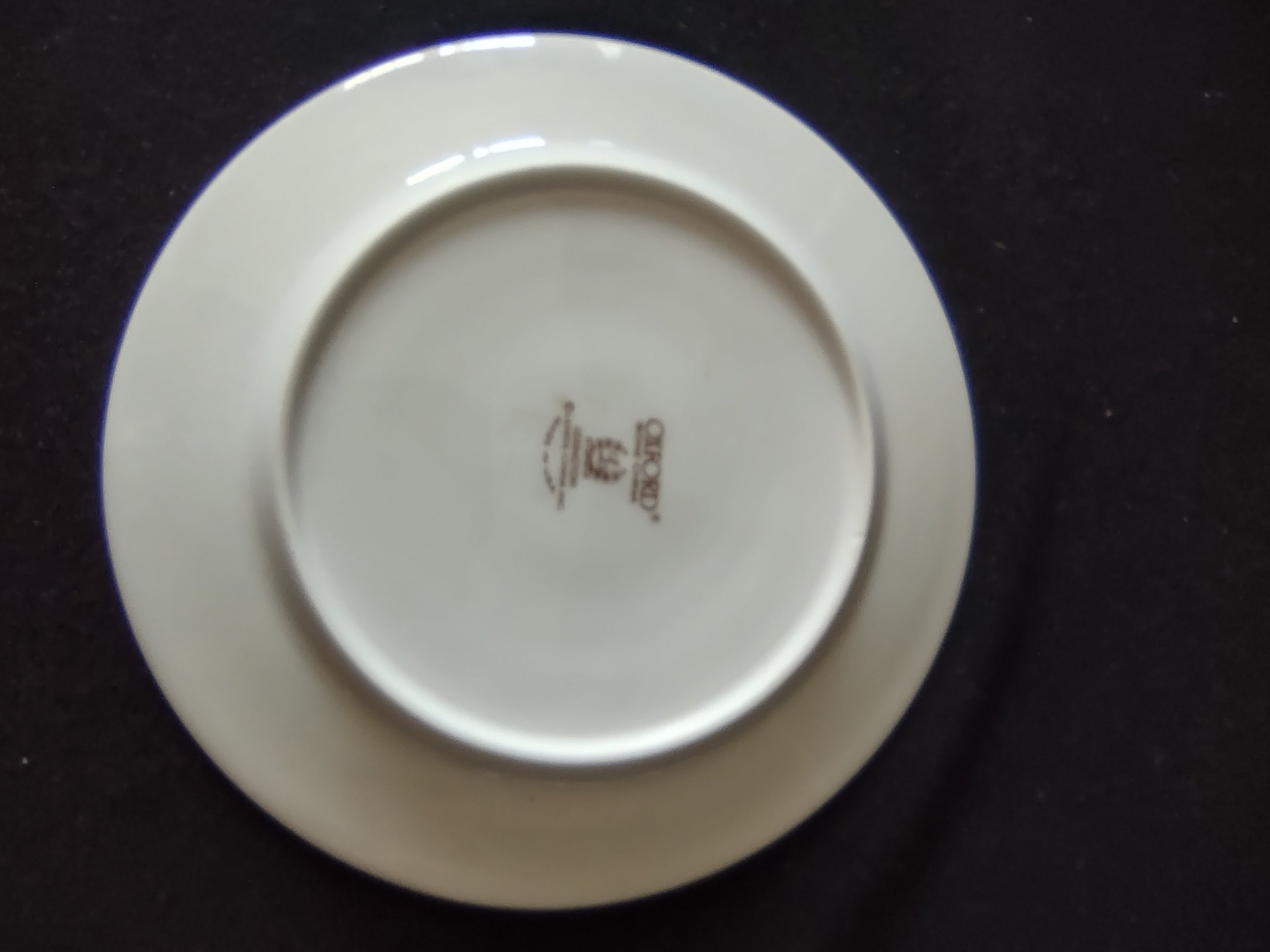 Close-up of platinum band rim detail on Oxford Bone China Lexington plate