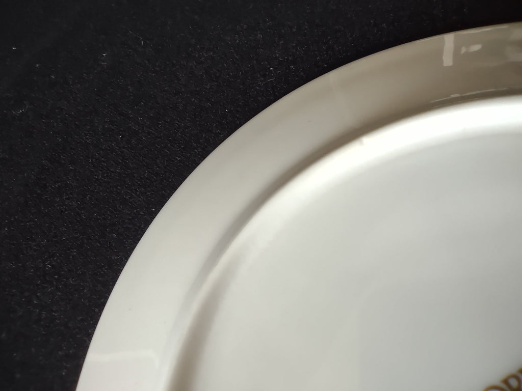 Close-up of rim edge showing platinum band on Oxford Bone China plate