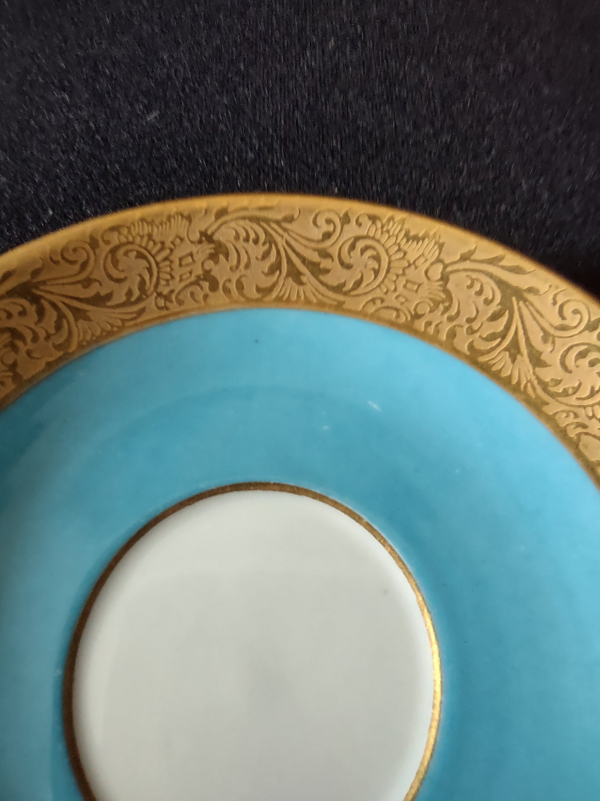 Gold encrusted acanthus scroll border detail