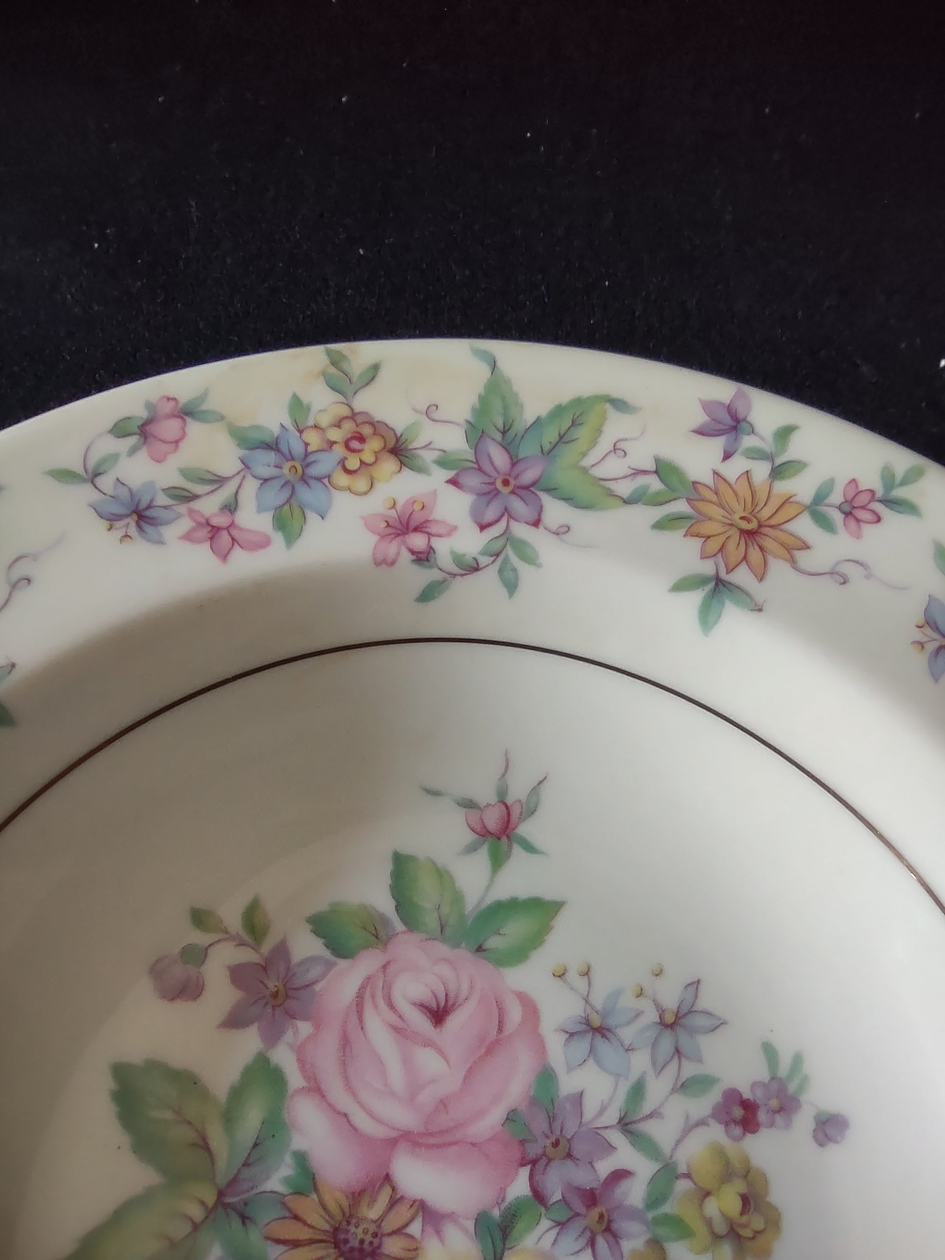 Theodore Haviland Springtime rimmed soup bowl floral pattern close-up