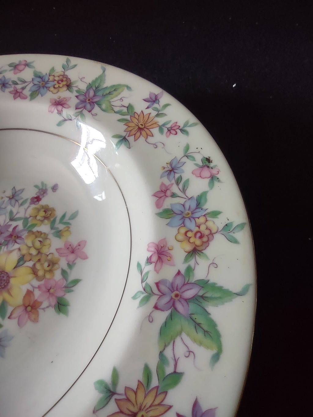Theodore Haviland Springtime bowl platinum trim and border flowers
