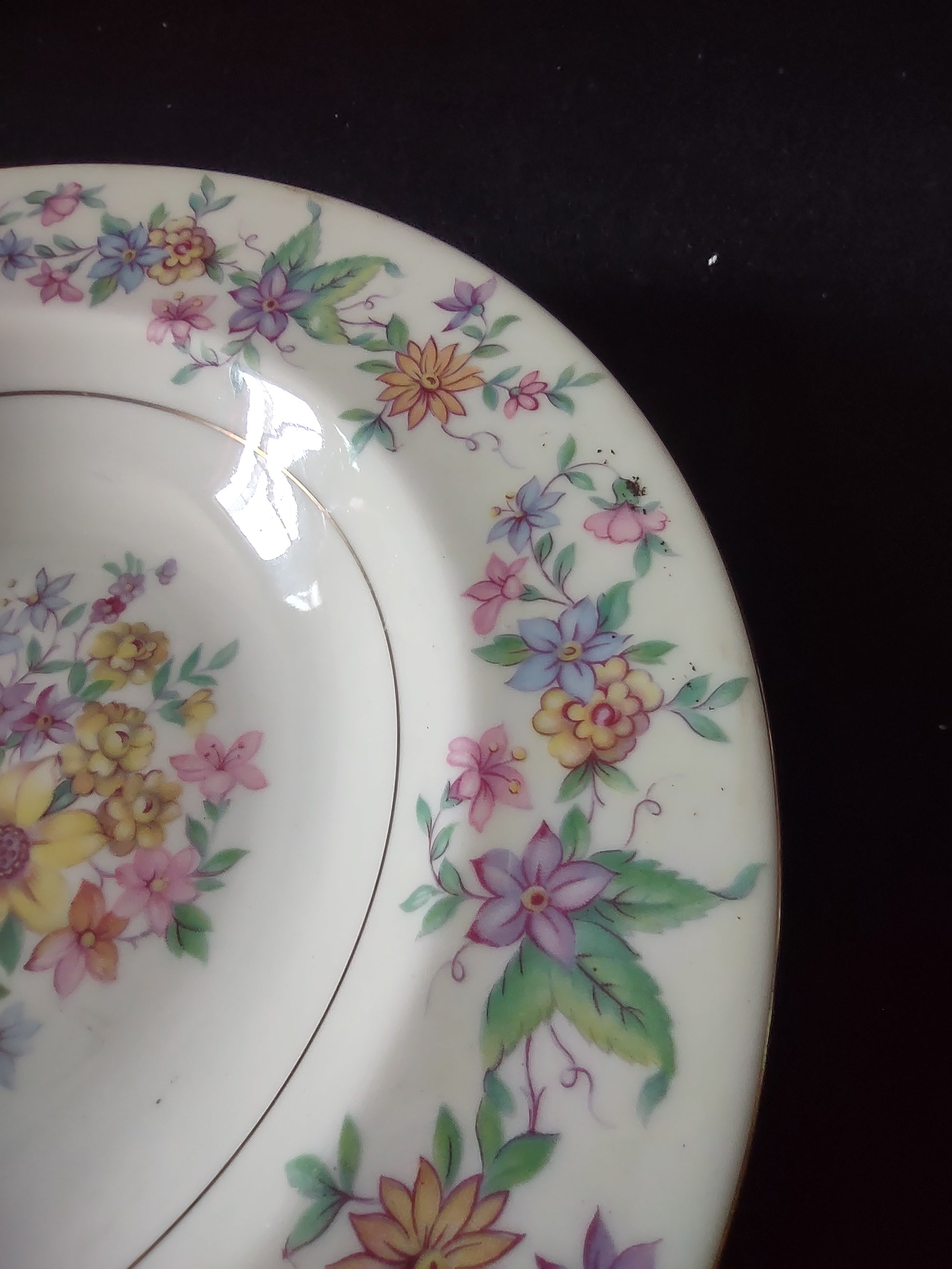 Theodore Haviland Springtime bowl platinum trim and border flowers