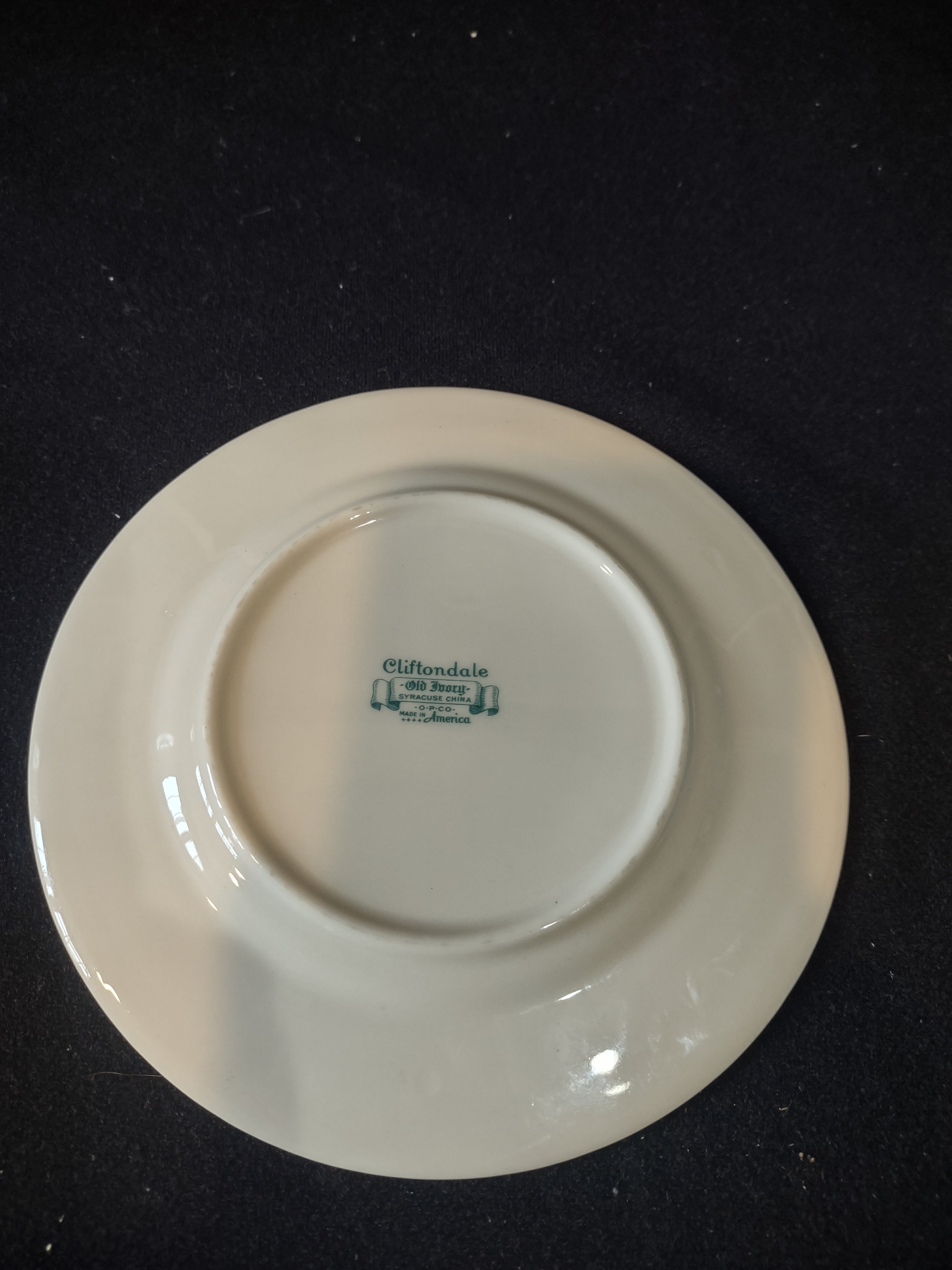 Vintage Syracuse China Cliftondale floral plate back with ruler