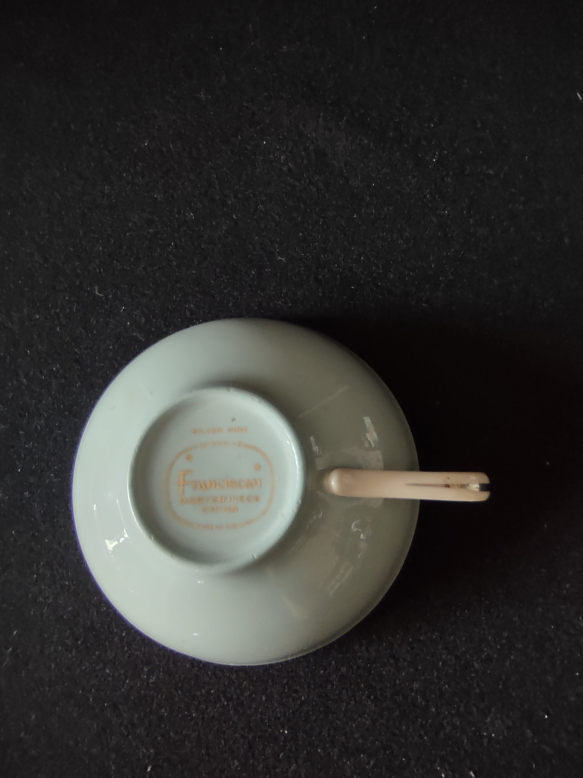 Franciscan Silver Pine cup and saucer angled view