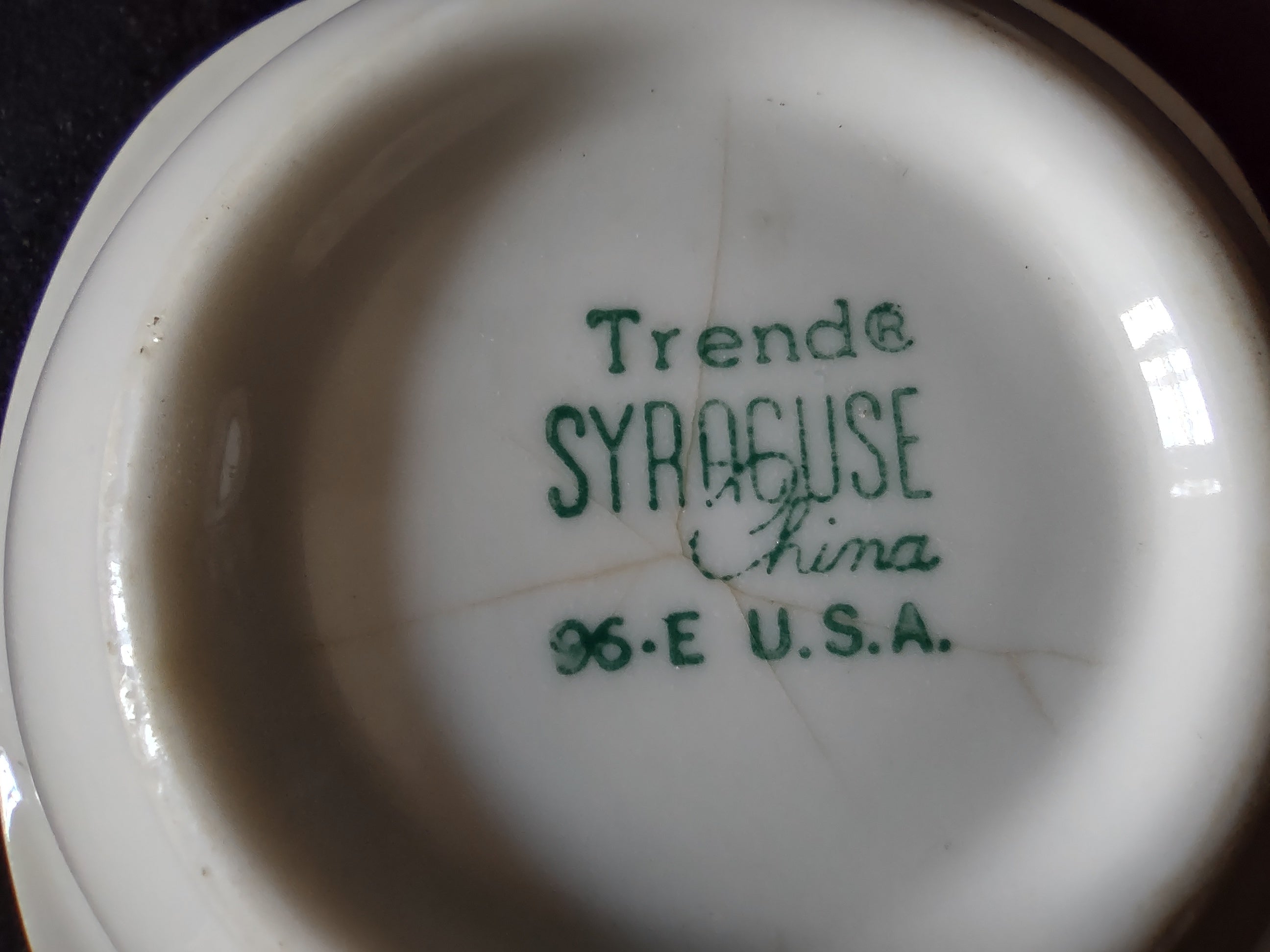 Syracuse China Trend pink floral branch rim detail
