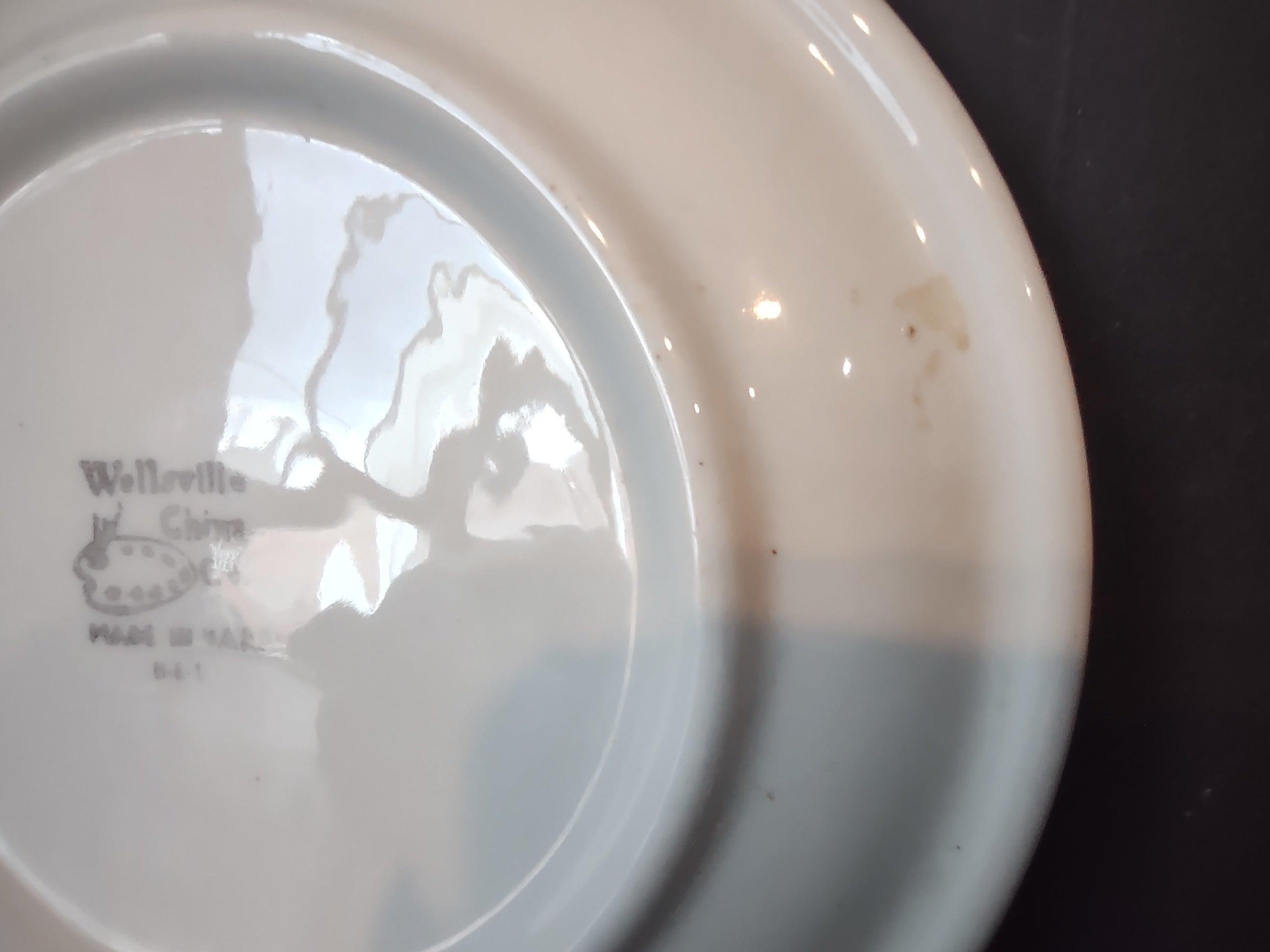 Vintage Wellsville China Lenore Pink Rose Transferware Plate [7146]
