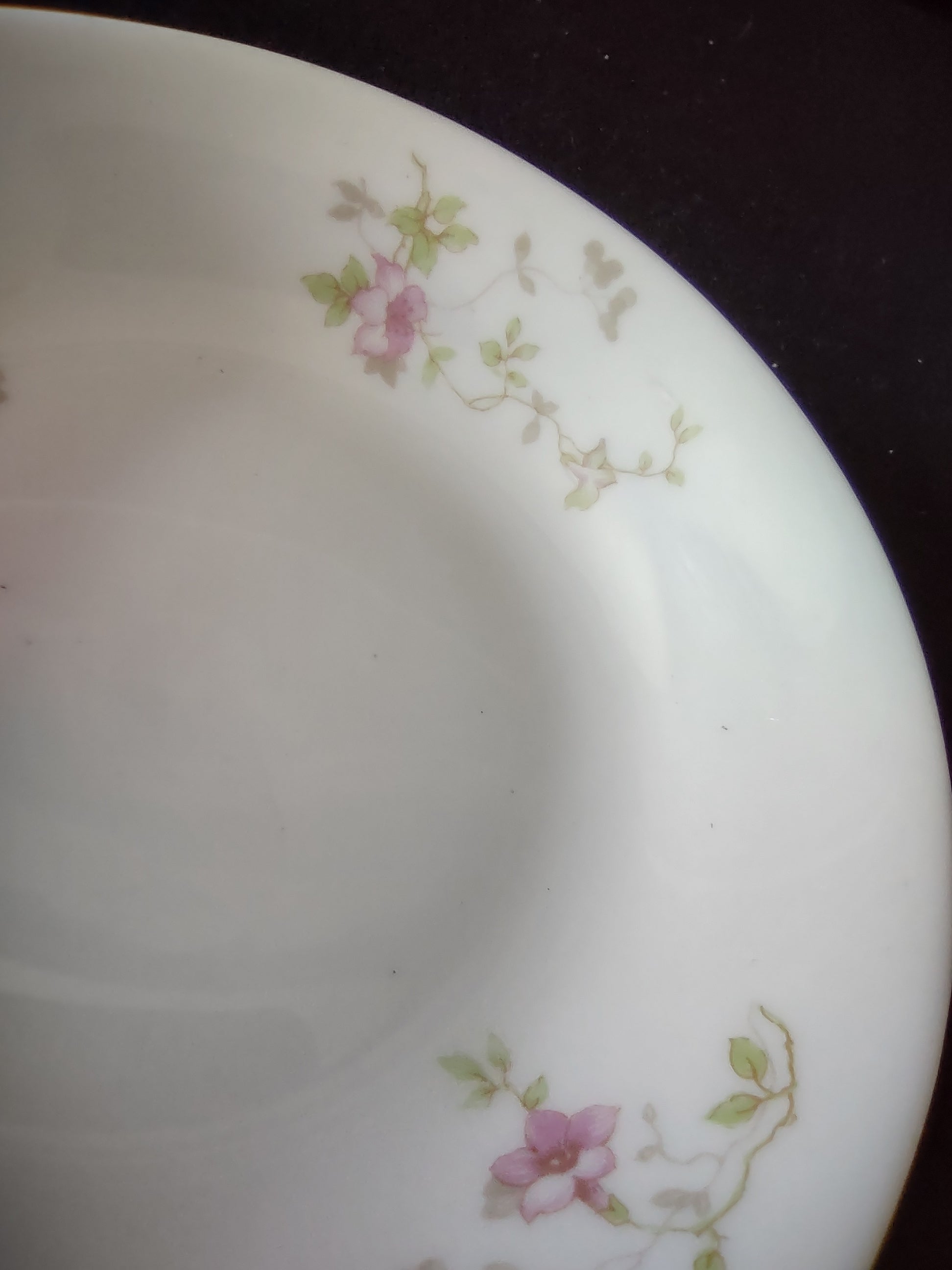 Side view of O.P. Co. Syracuse China pink floral berry bowl showing depth
