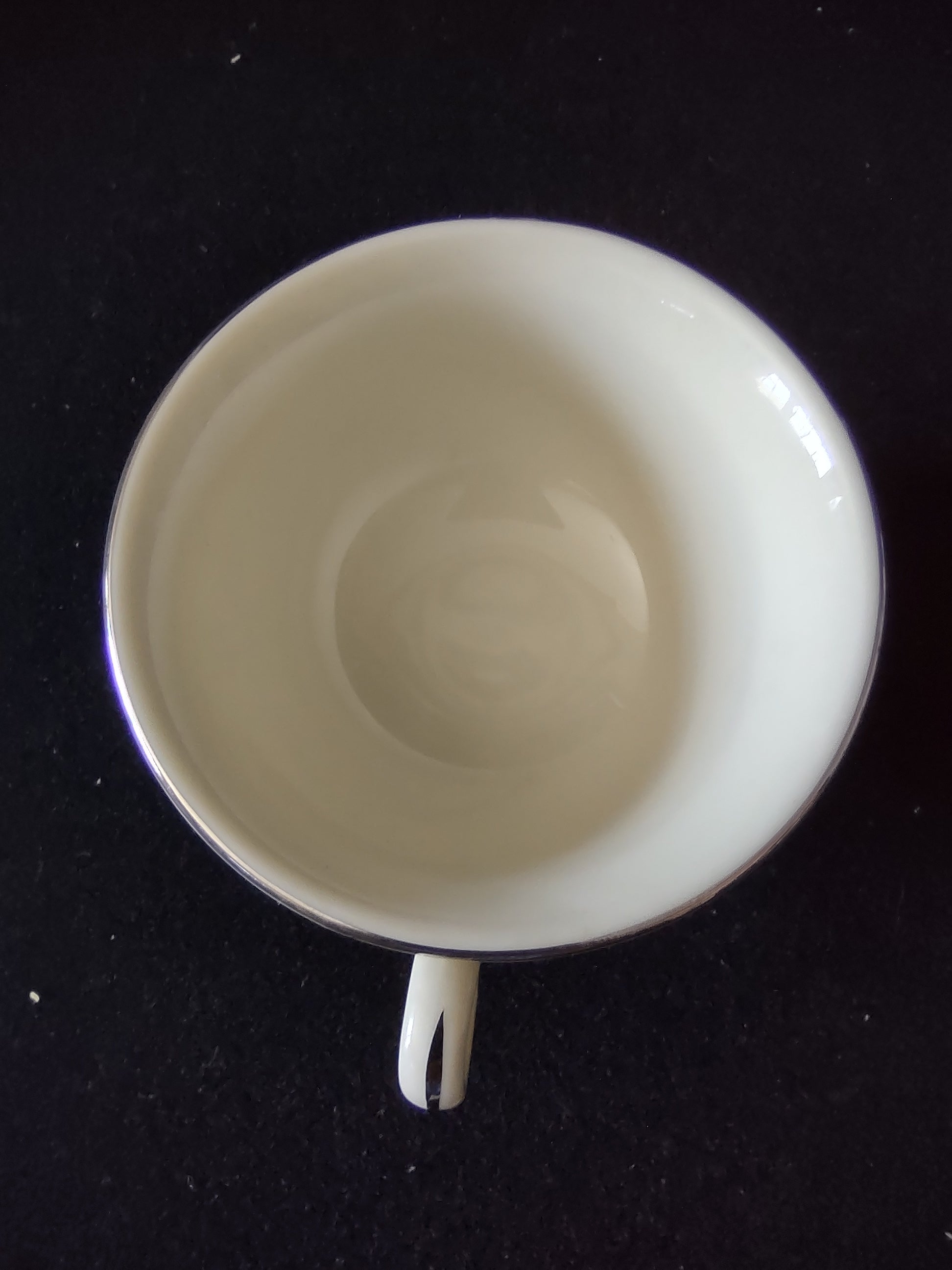 Vintage Cathedral Fine China Embossed Rose Platinum Trim Cup [7137] - side view