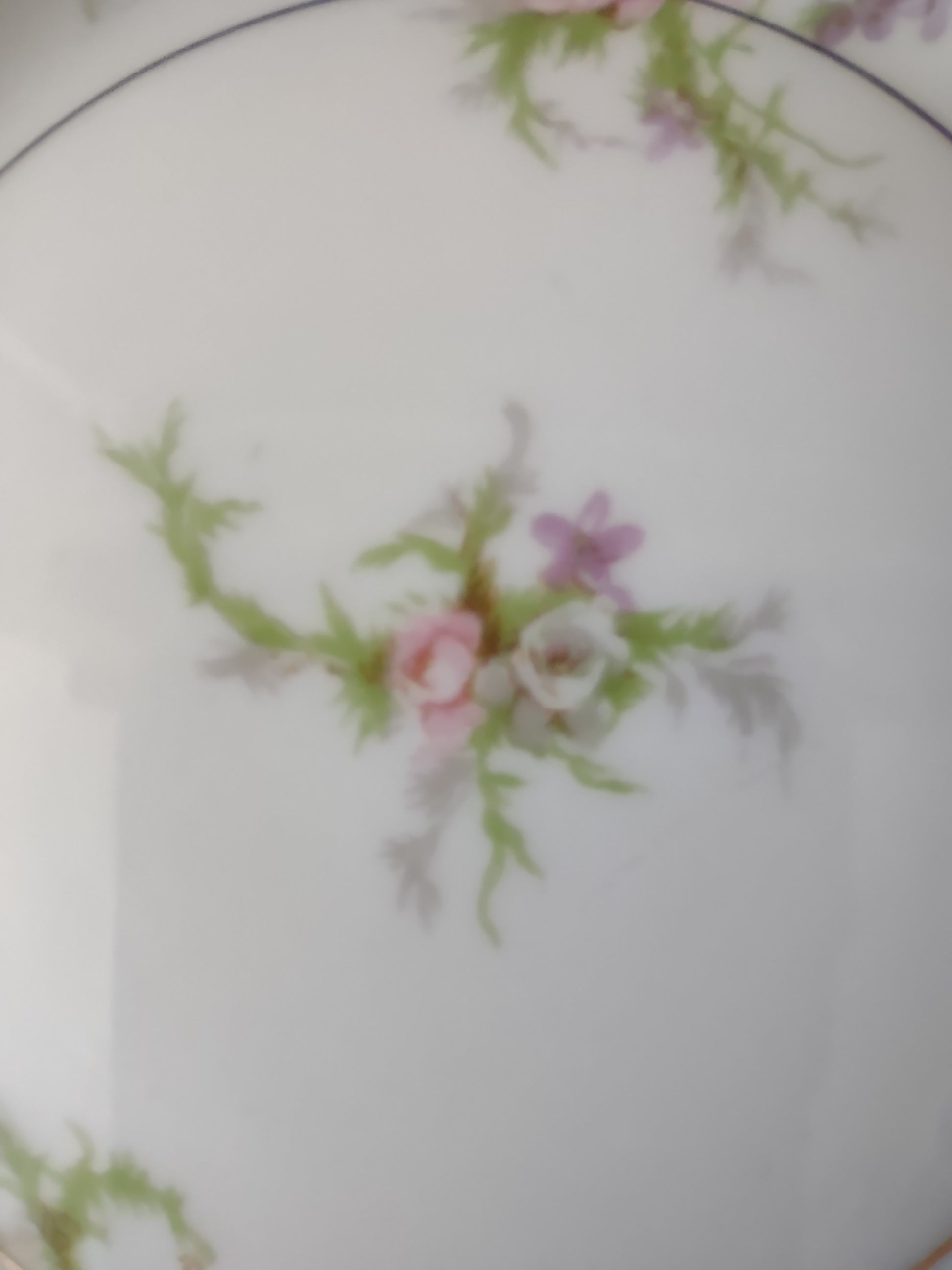Vintage Theodore Haviland Rosalinde plate close-up of pink floral center spray