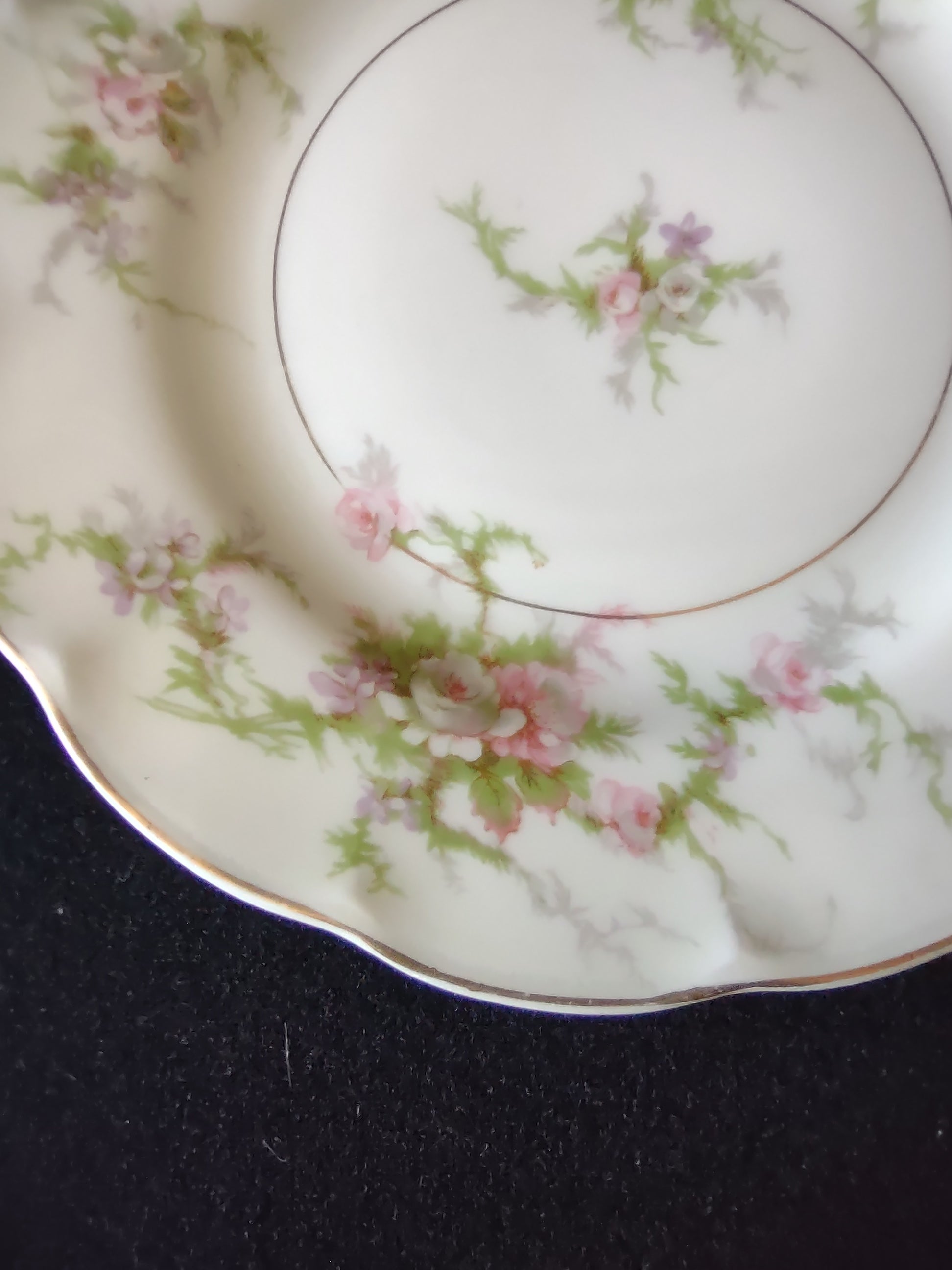 Theodore Haviland Rosalinde plate with ruler showing approximately 6 inch diameter